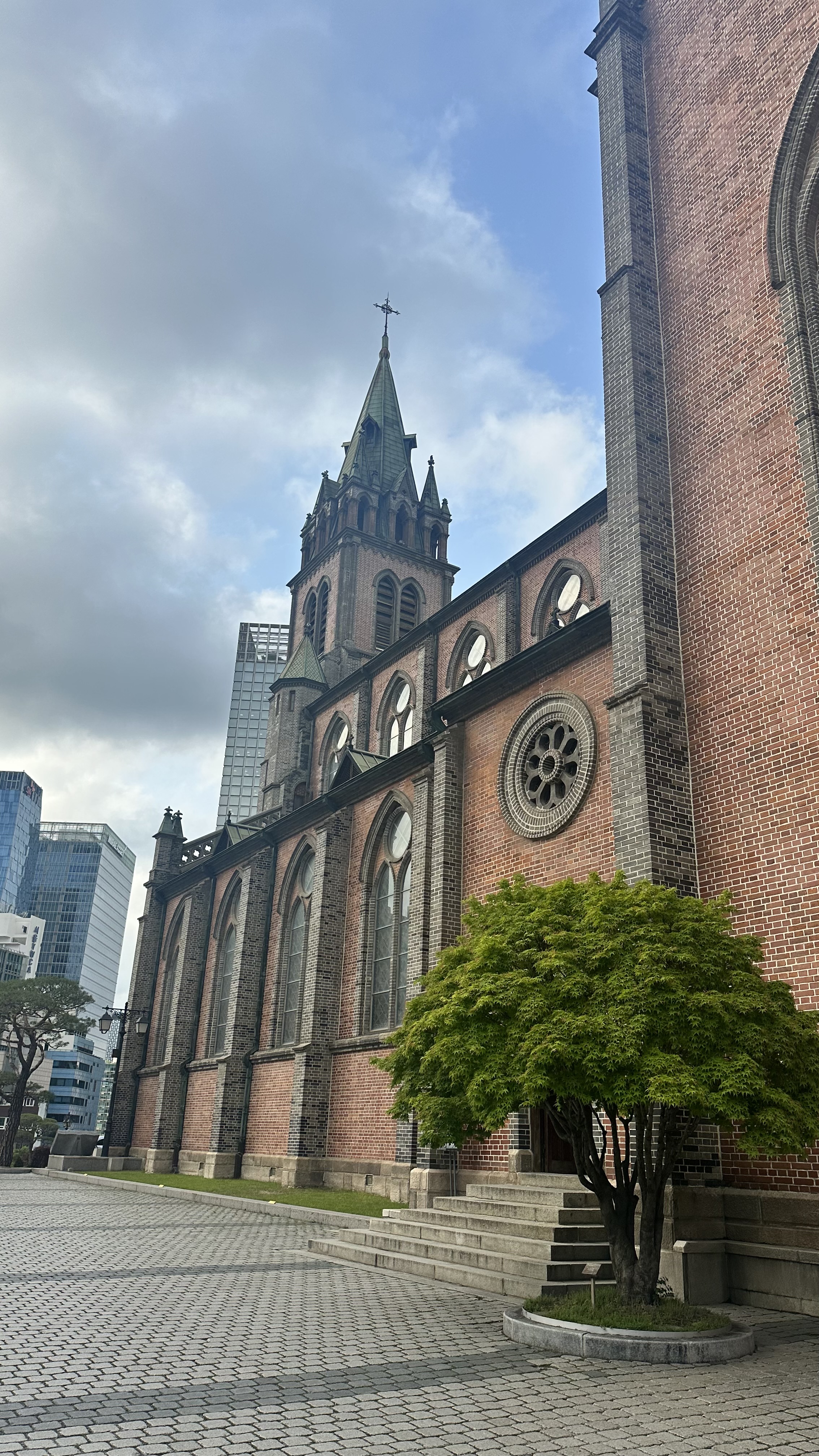 Твое путешествие между традициями и будущим, между природой и неоном (26/26)