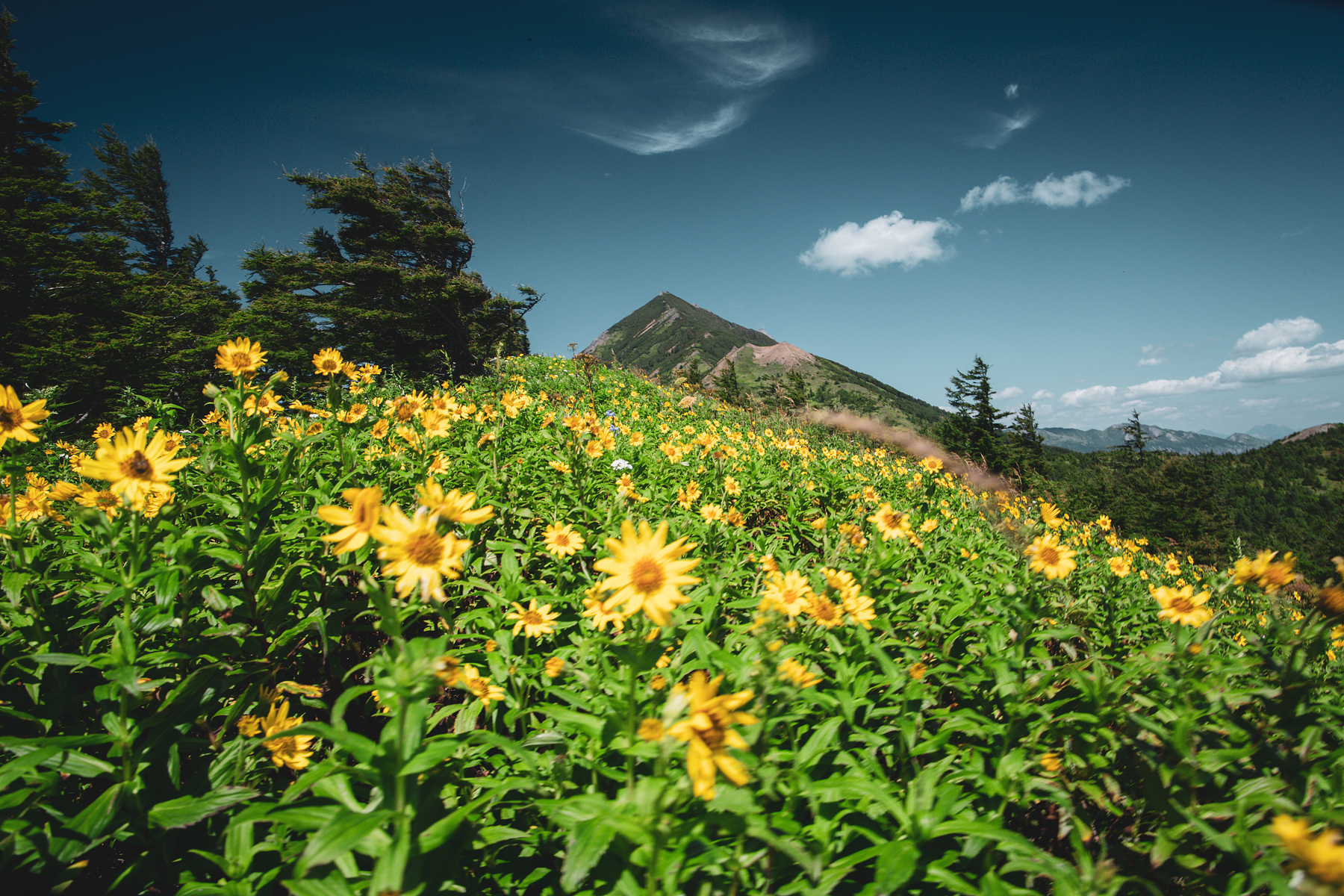 Сахалин + Камчатка. Активный тур без палаток и рюкзаков (7/33)
