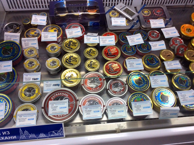 К соляным озерам Волжской степи (15/15)