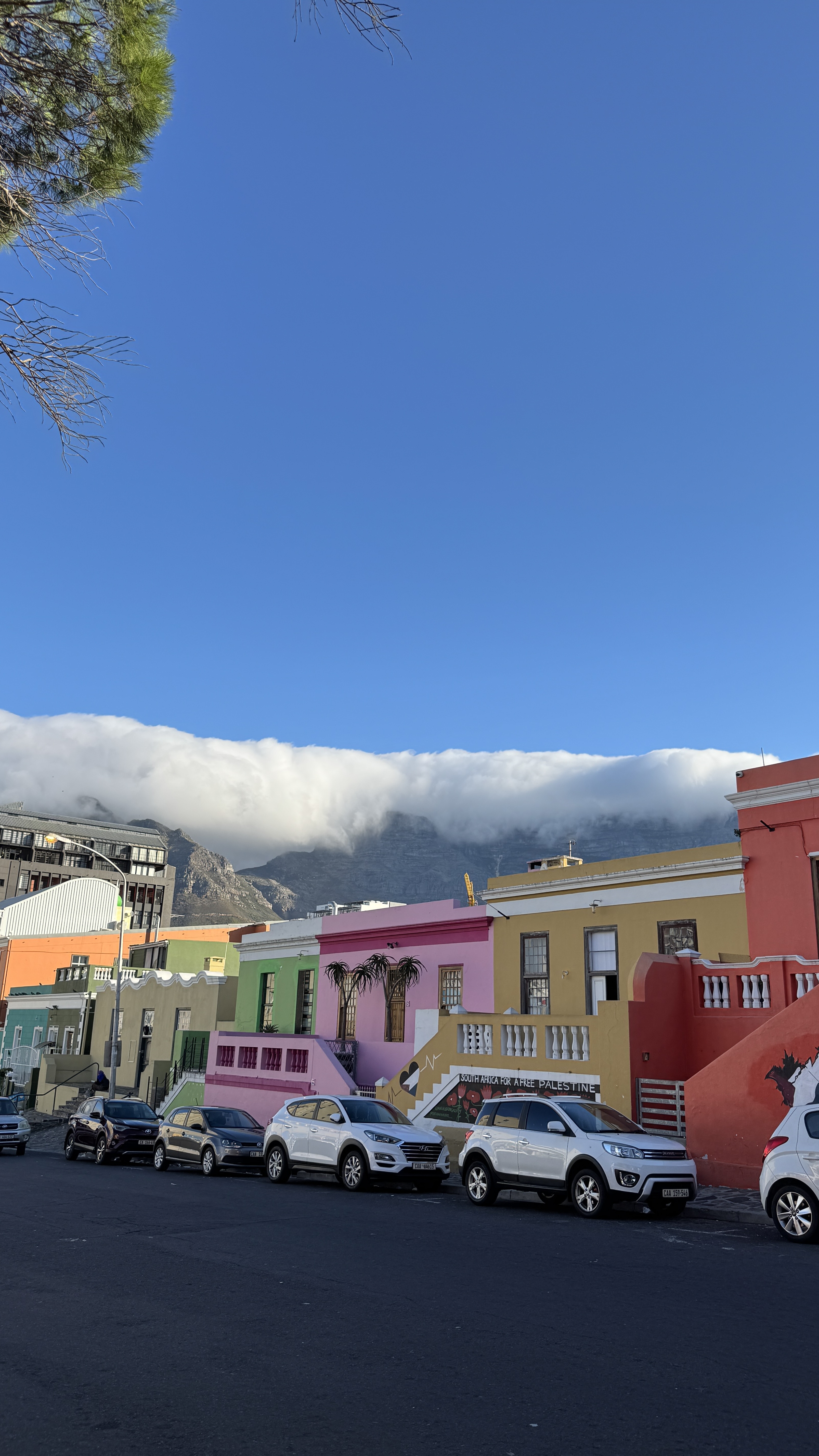 Между двумя океанами: большое путешествие по Юар (24/49)