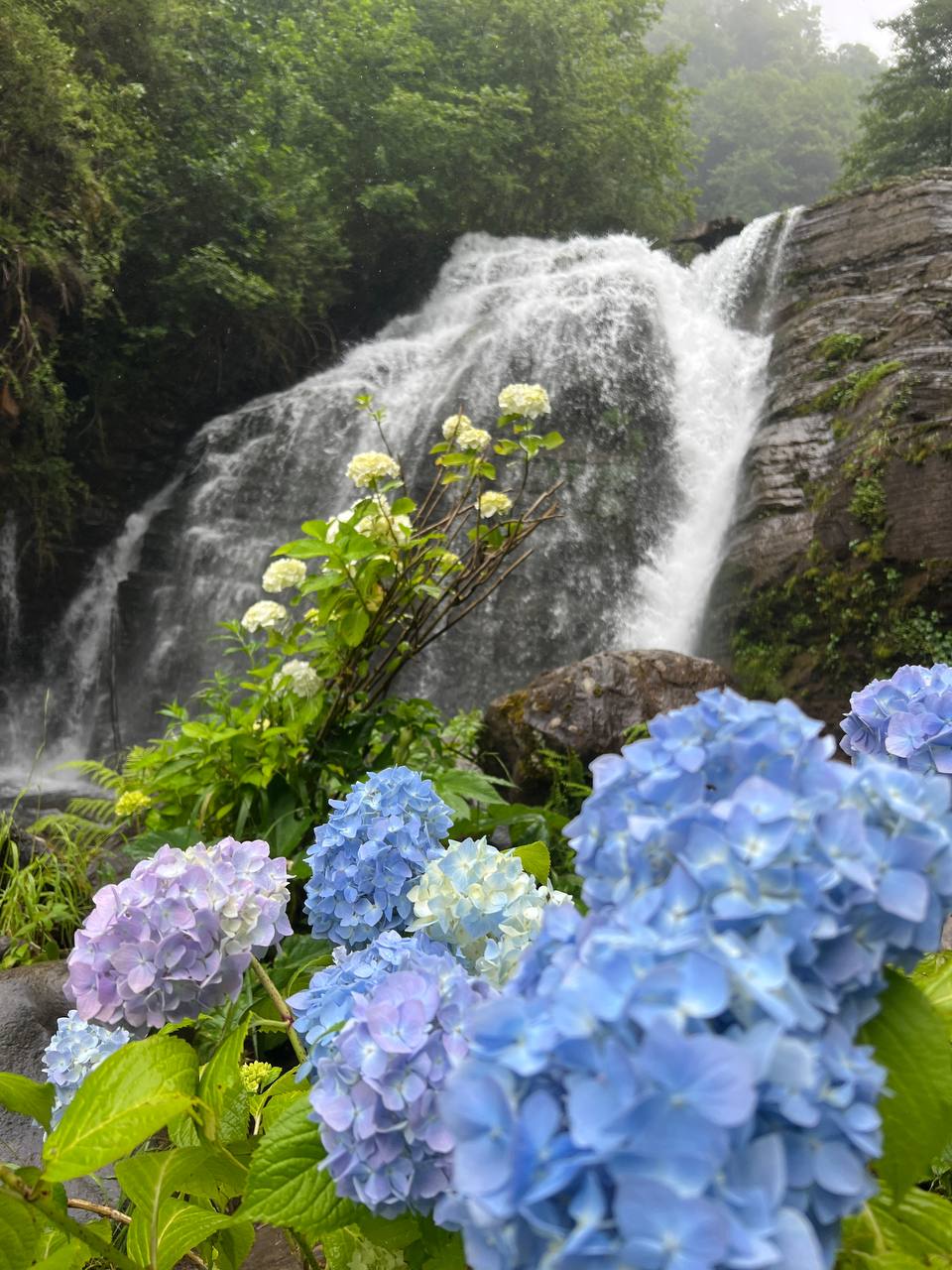 Абхазия. Горы, водопады, море и озеро Рица, тур на 3 дня (39/104)