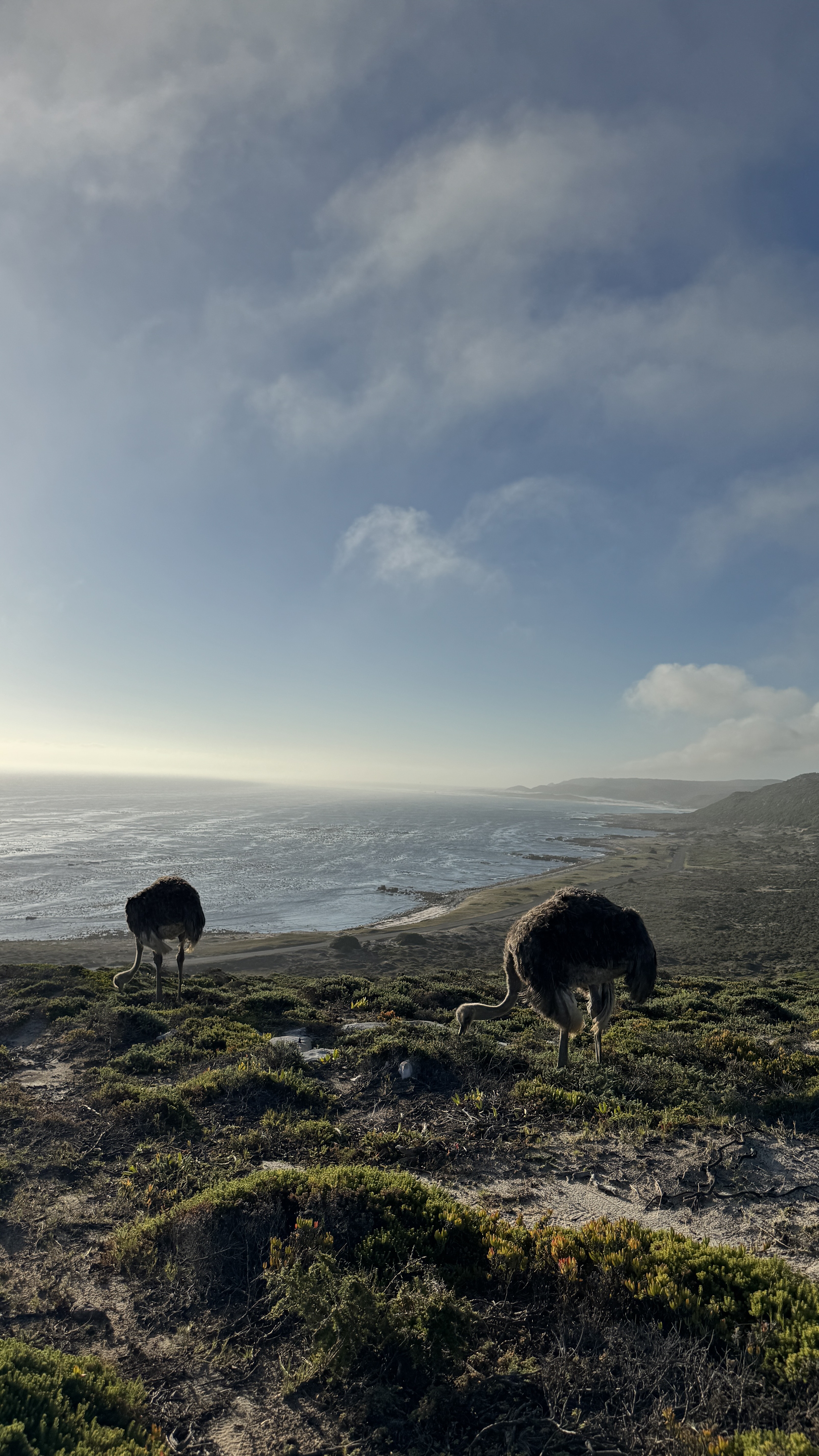 Между двумя океанами: большое путешествие по Юар (3/49)