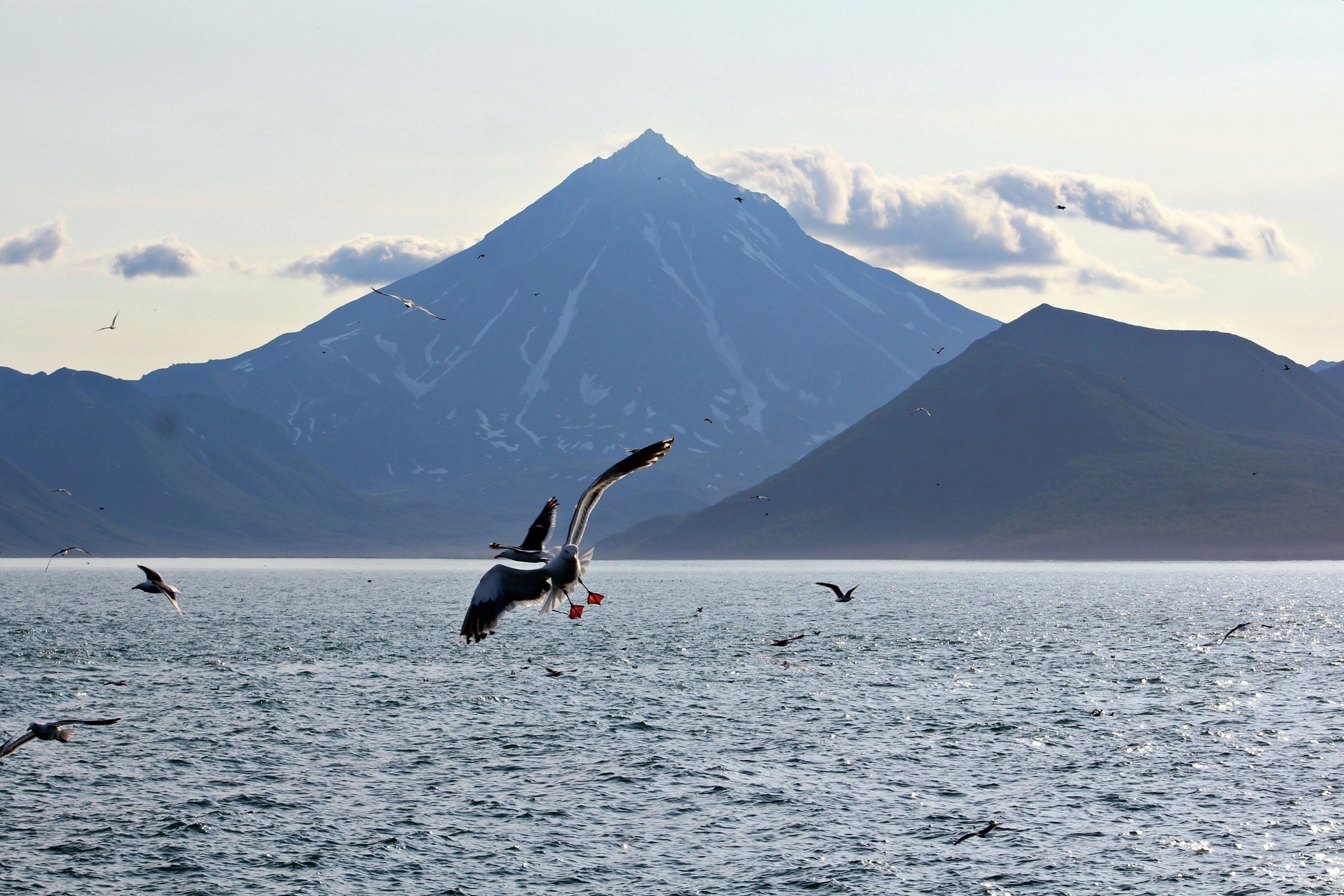 Сахалин + Камчатка. Активный тур без палаток и рюкзаков (3/33)