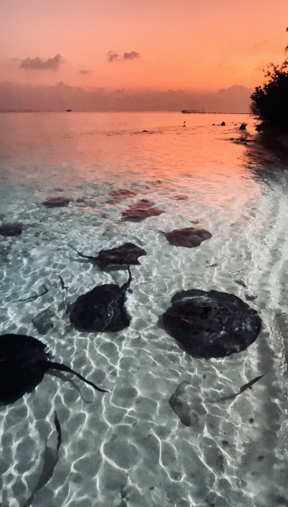 Мальдивы Для Пар - Ваши даты (47/61)