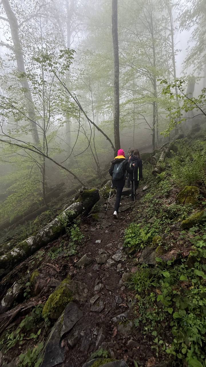 Красная Поляна. Через горы к морю. (6/13)