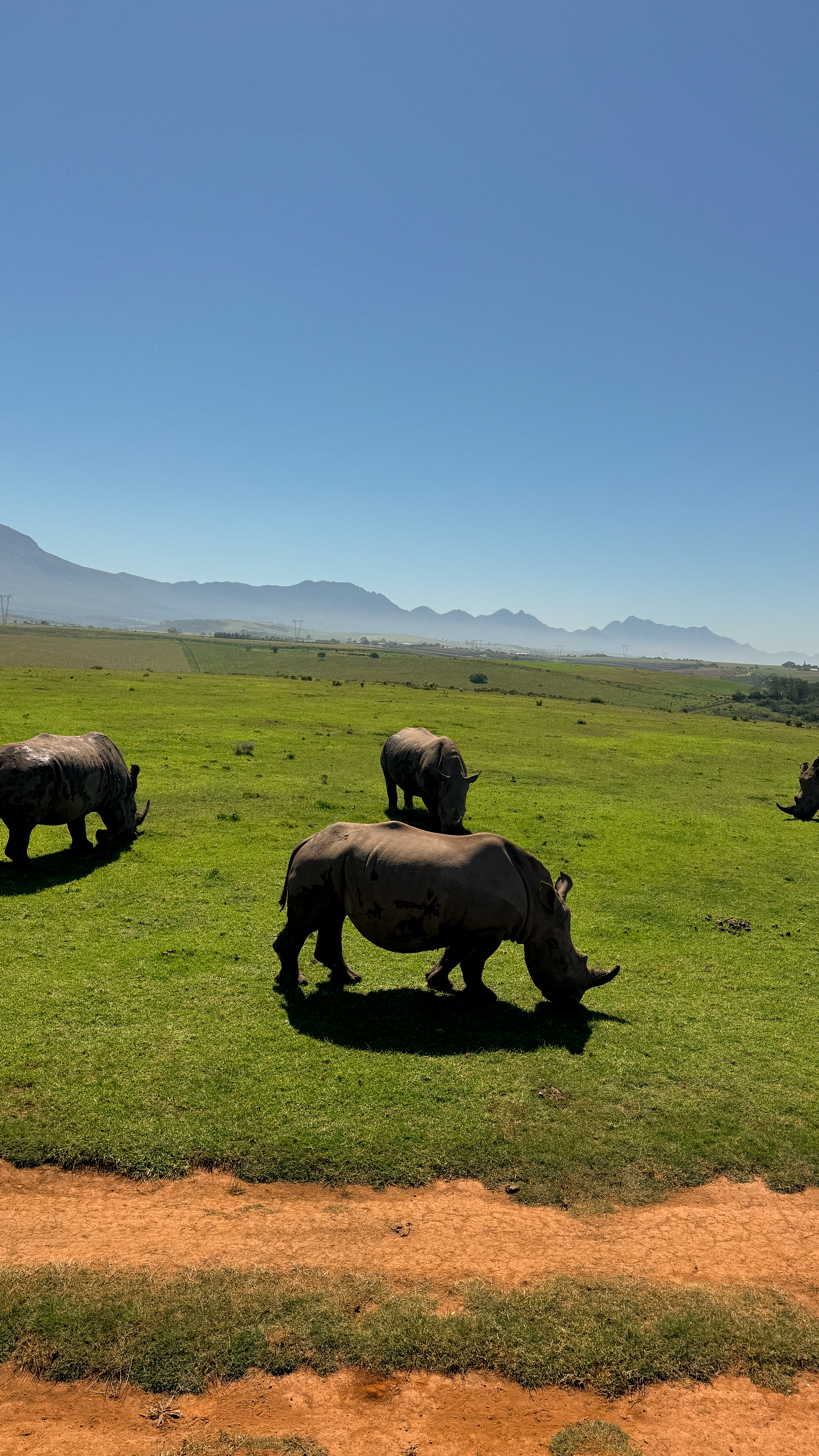 Между двумя океанами: большое путешествие по Юар (34/49)