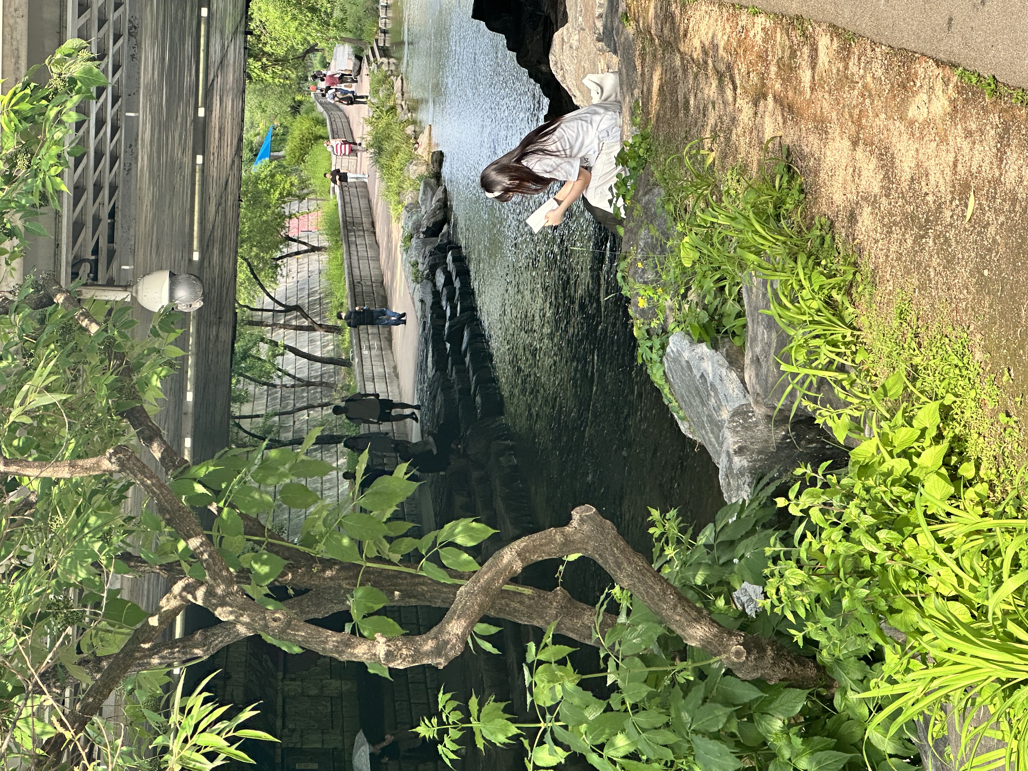 Твое путешествие между традициями и будущим, между природой и неоном (11/26)