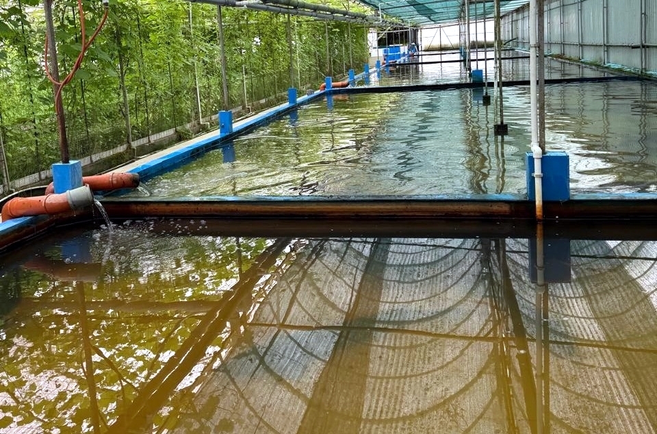 Осетрово-улиточная ферма + царская дегустация!