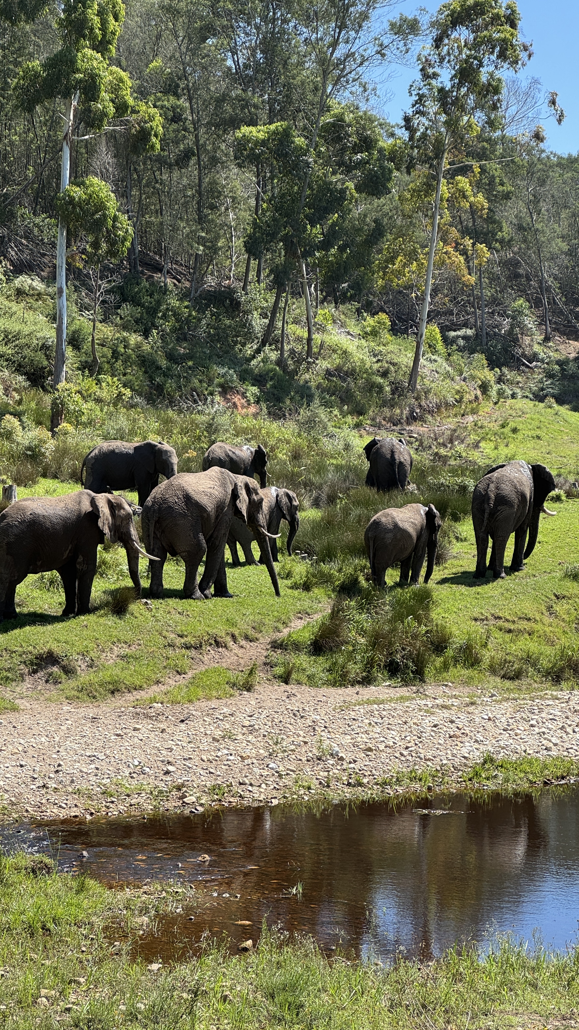 Между двумя океанами: большое путешествие по Юар (13/49)