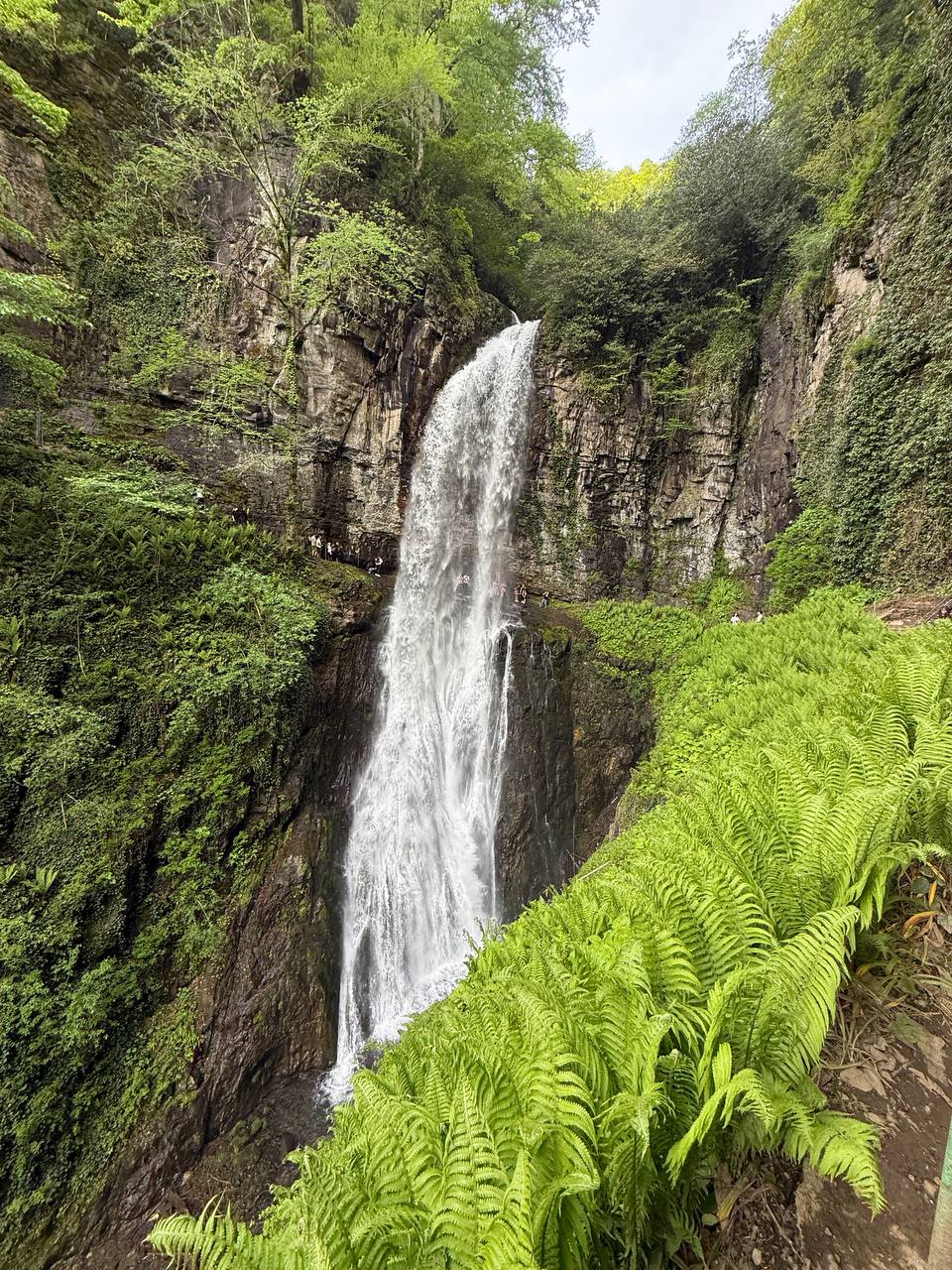 Абхазия. Горы, водопады, море и озеро Рица, тур на 3 дня (30/104)