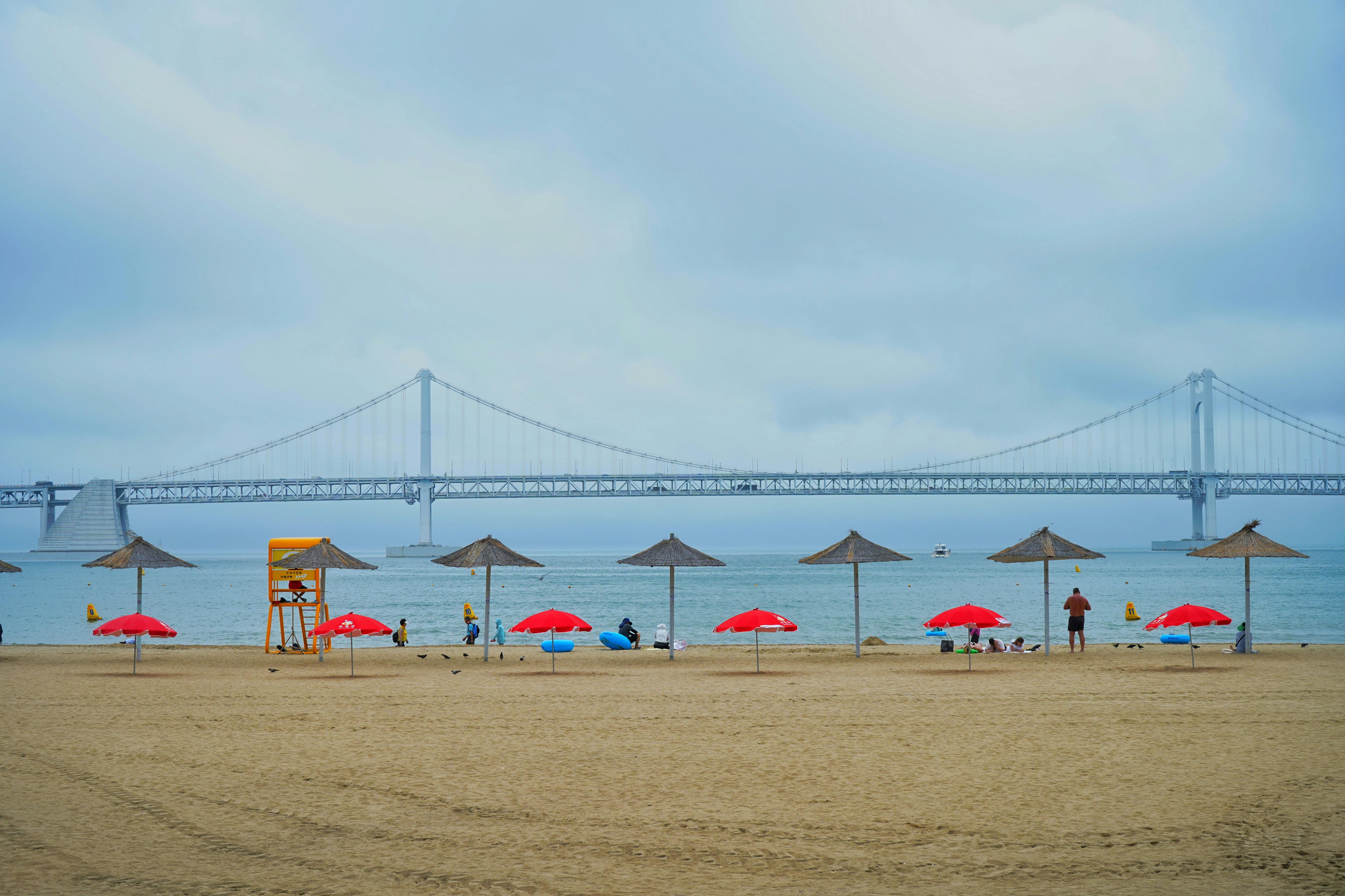 Твое путешествие между традициями и будущим, между природой и неоном (20/26)