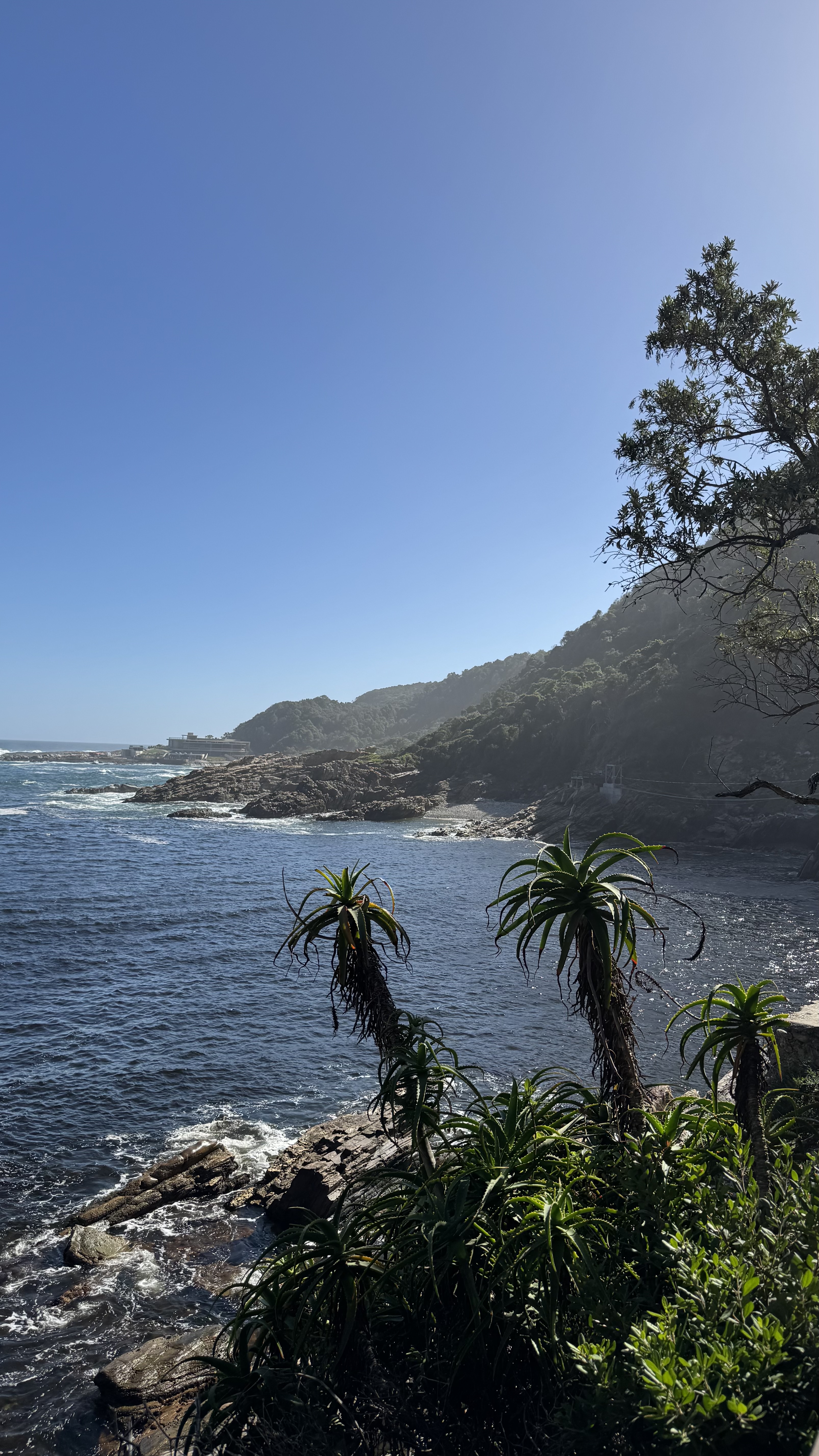 Между двумя океанами: большое путешествие по Юар (36/49)