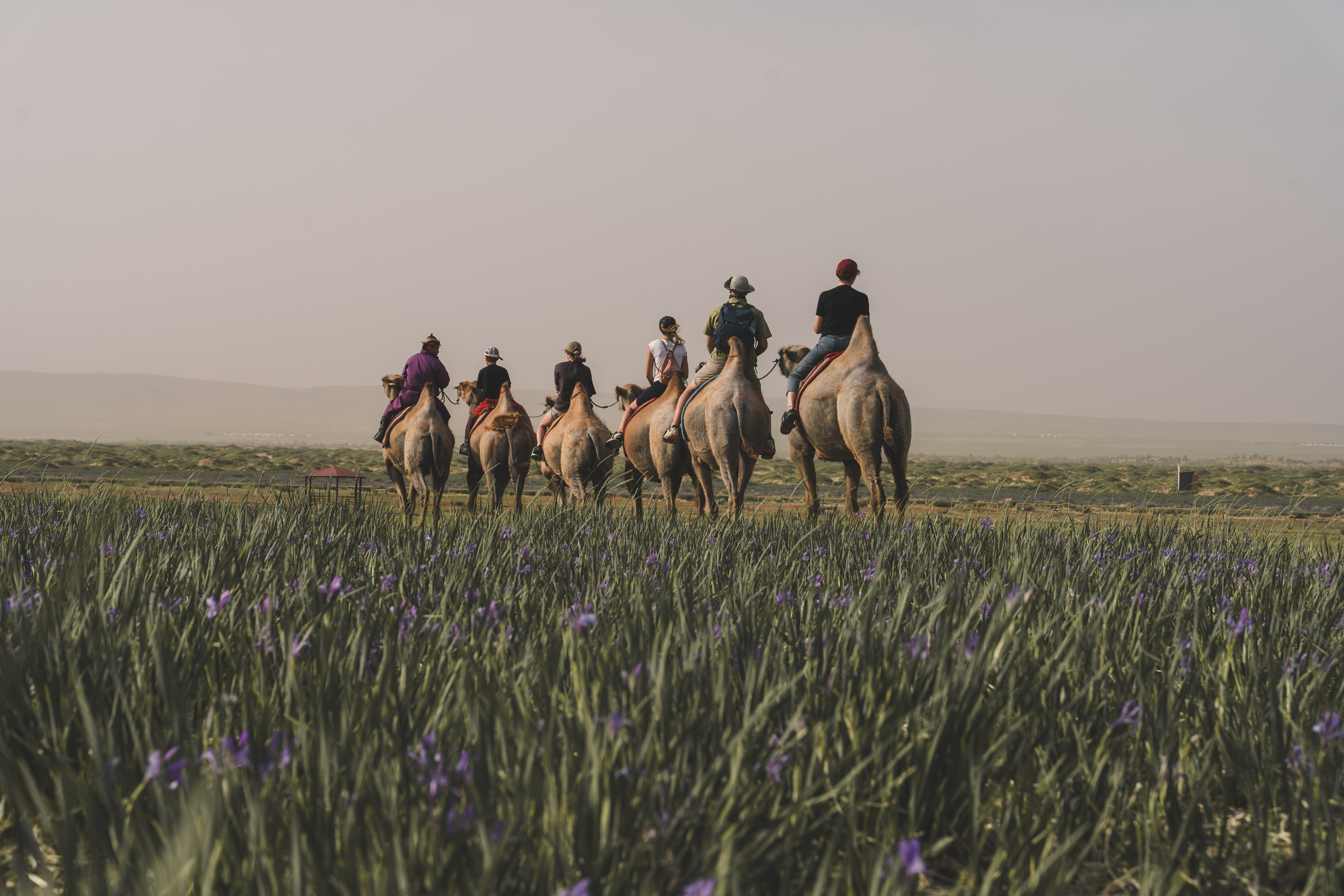 Современные кочевники - Большое путешествие в Гоби (15/64)