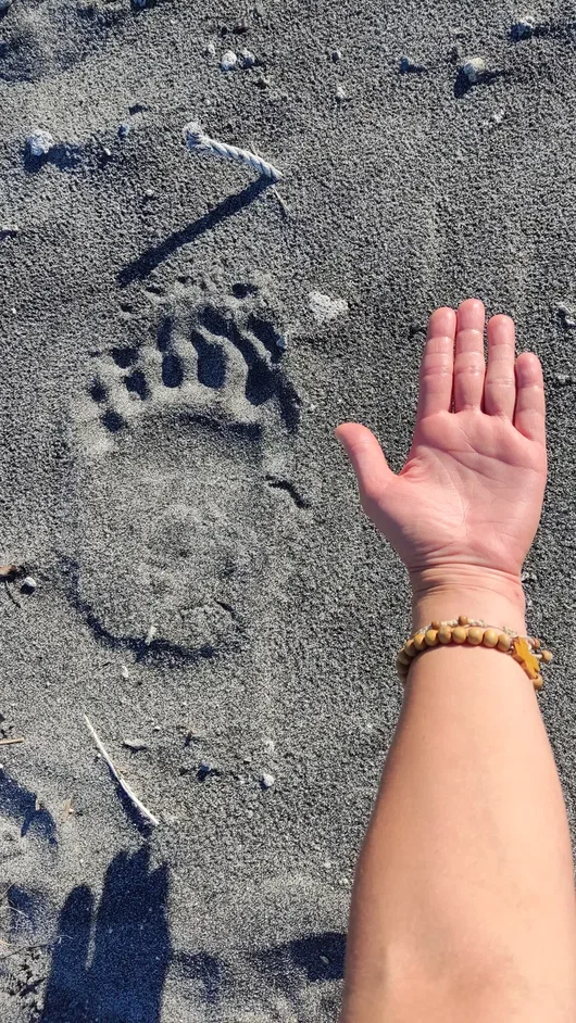 Сахалин + Камчатка. Активный тур без палаток и рюкзаков (32/33)