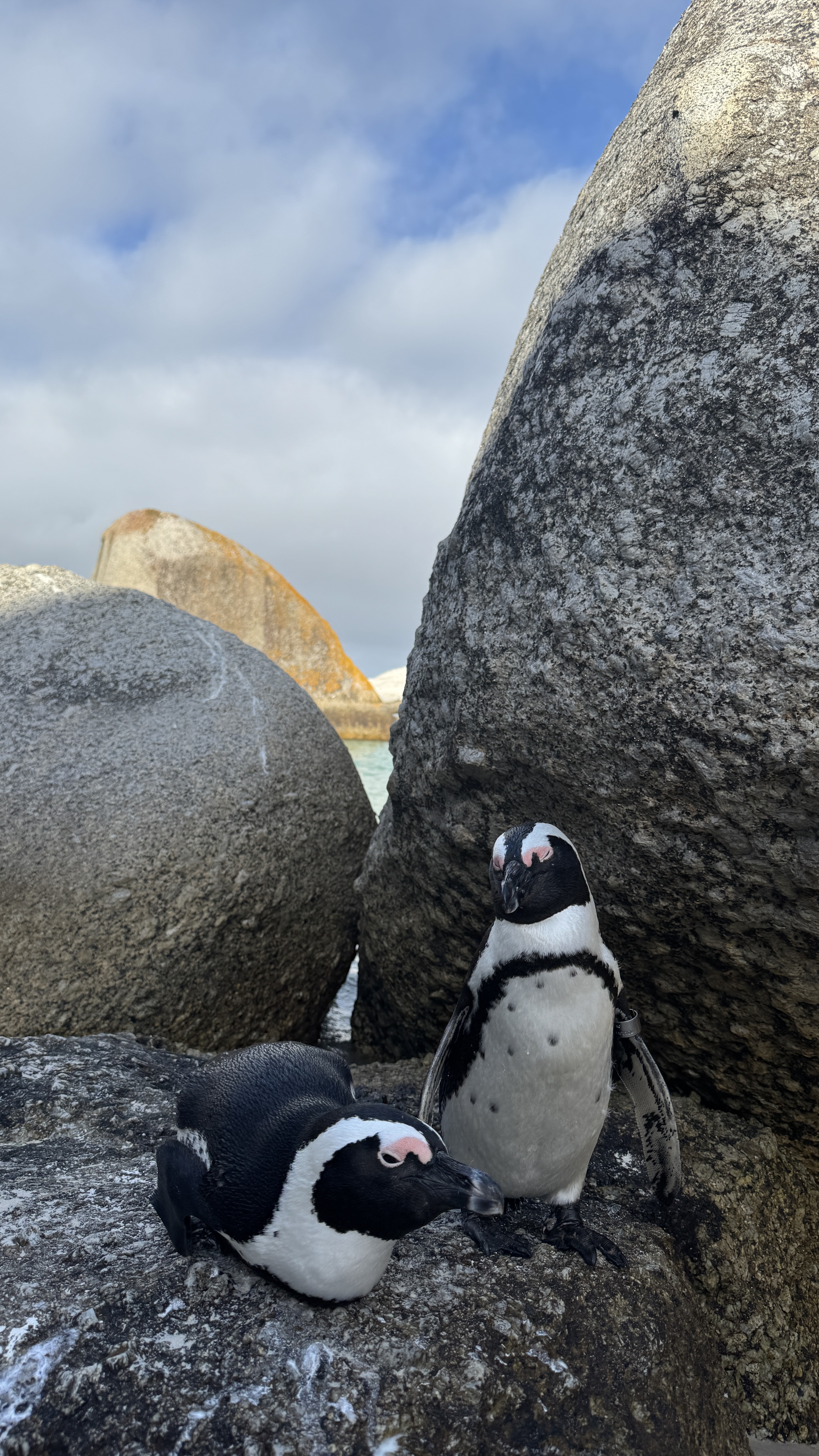 Между двумя океанами: большое путешествие по Юар (1/49)