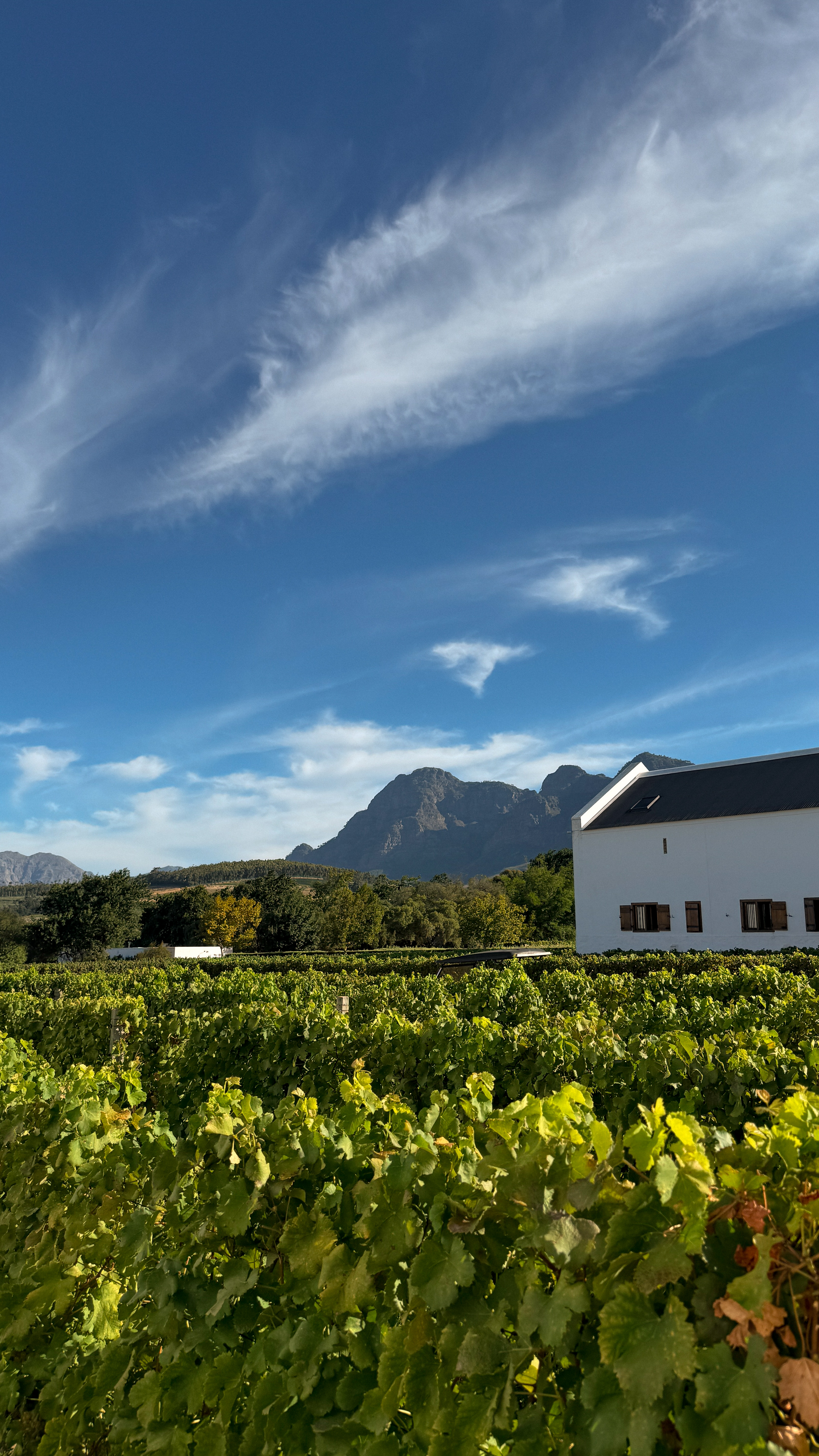 Между двумя океанами: большое путешествие по Юар (27/49)
