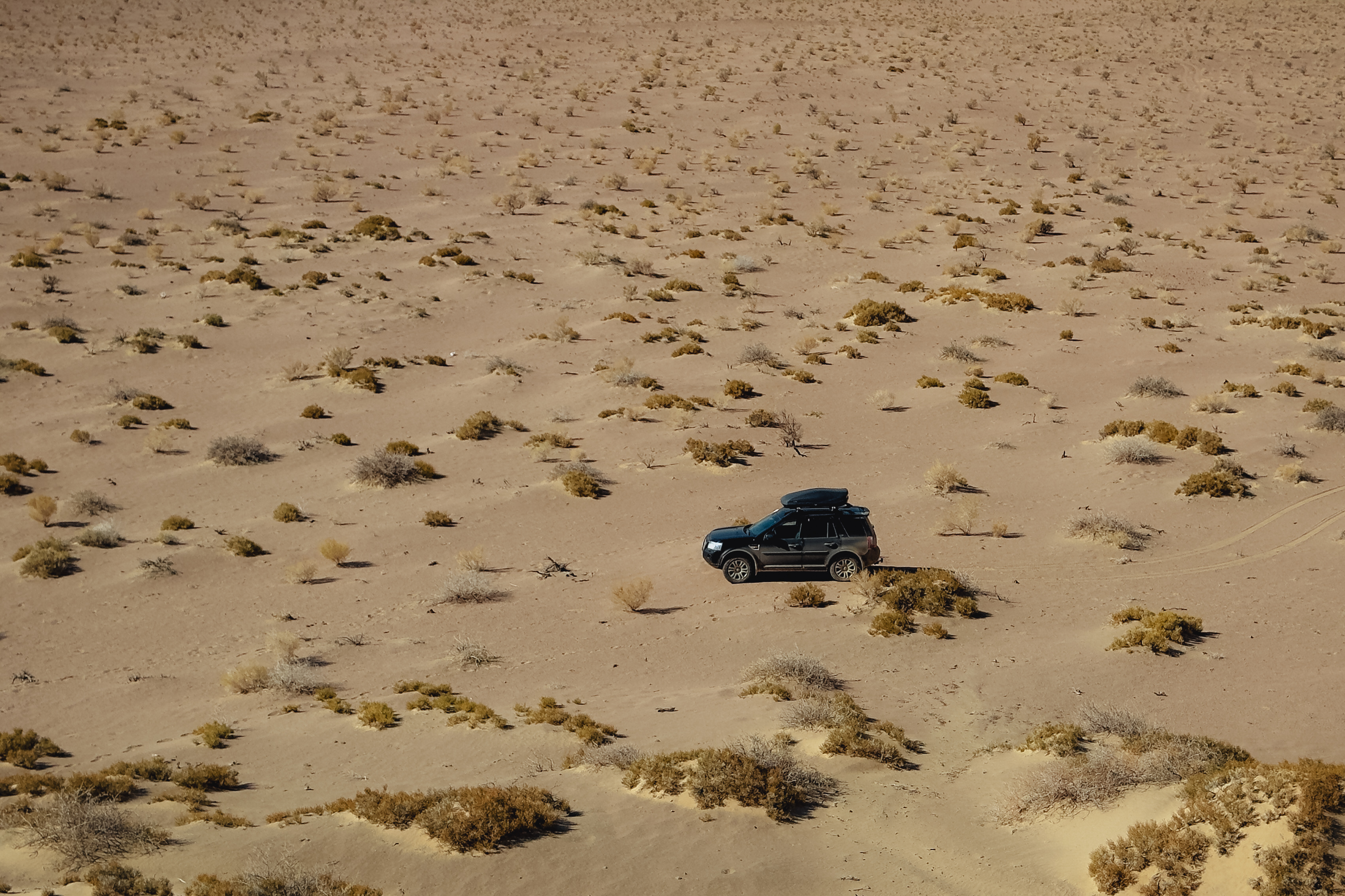 Современные кочевники - Большое путешествие в Гоби (50/64)