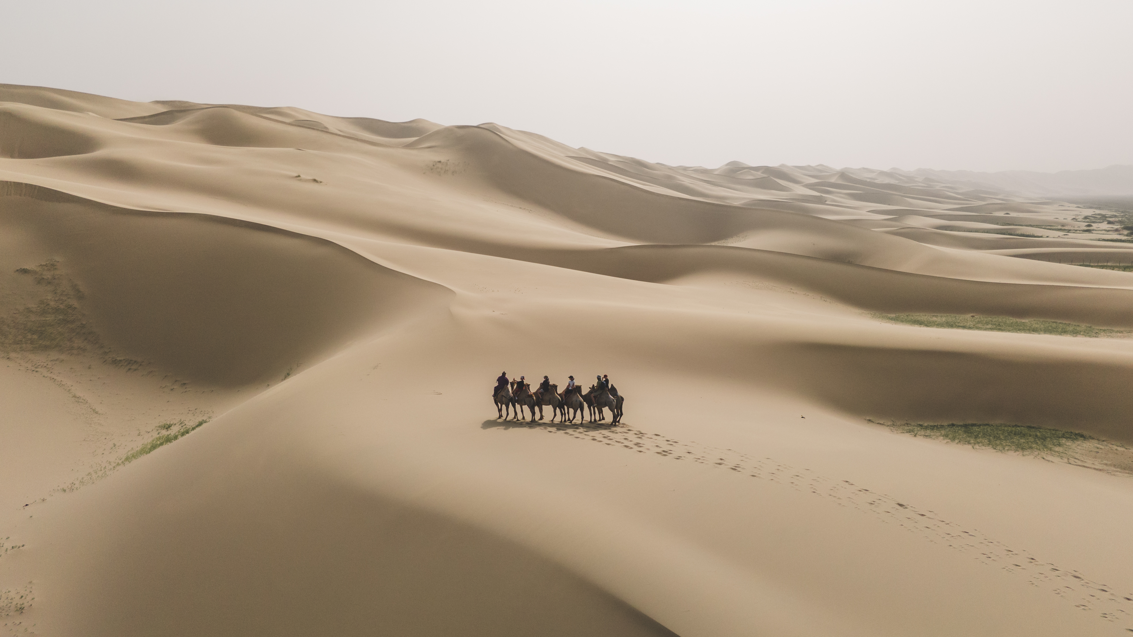 Современные кочевники - Большое путешествие в Гоби (53/64)