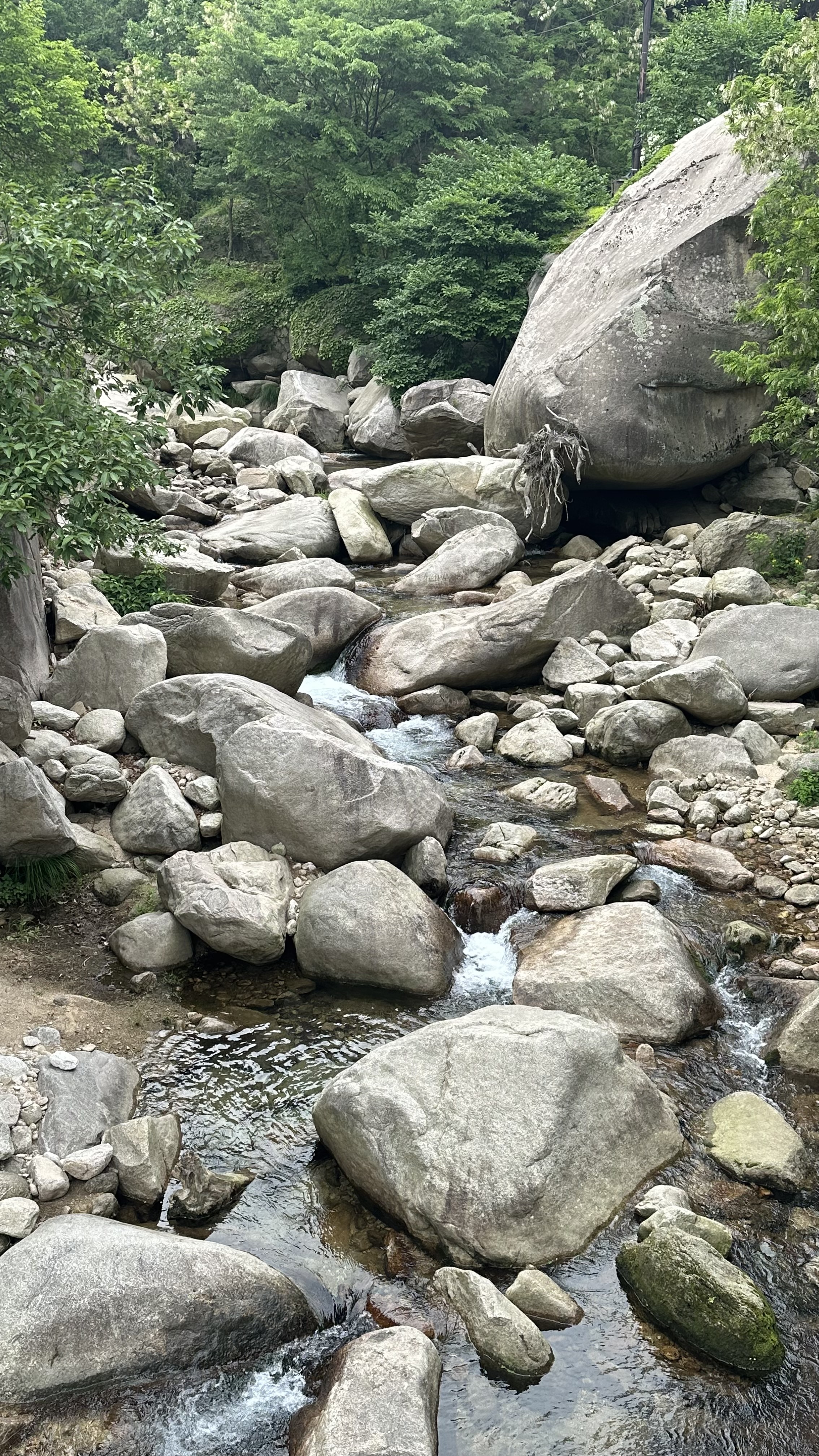 Твое путешествие между традициями и будущим, между природой и неоном (10/26)