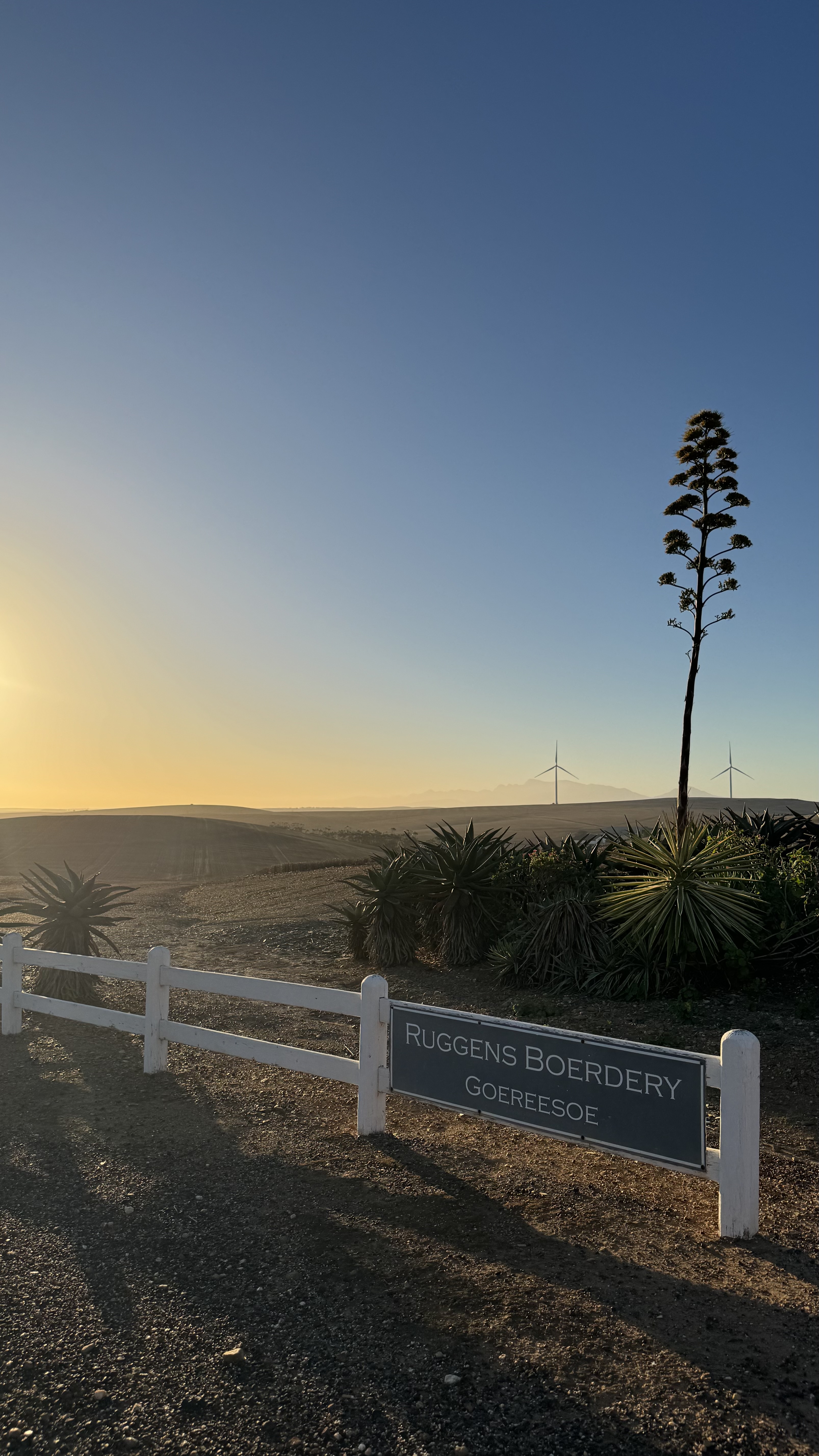 Между двумя океанами: большое путешествие по Юар (8/49)