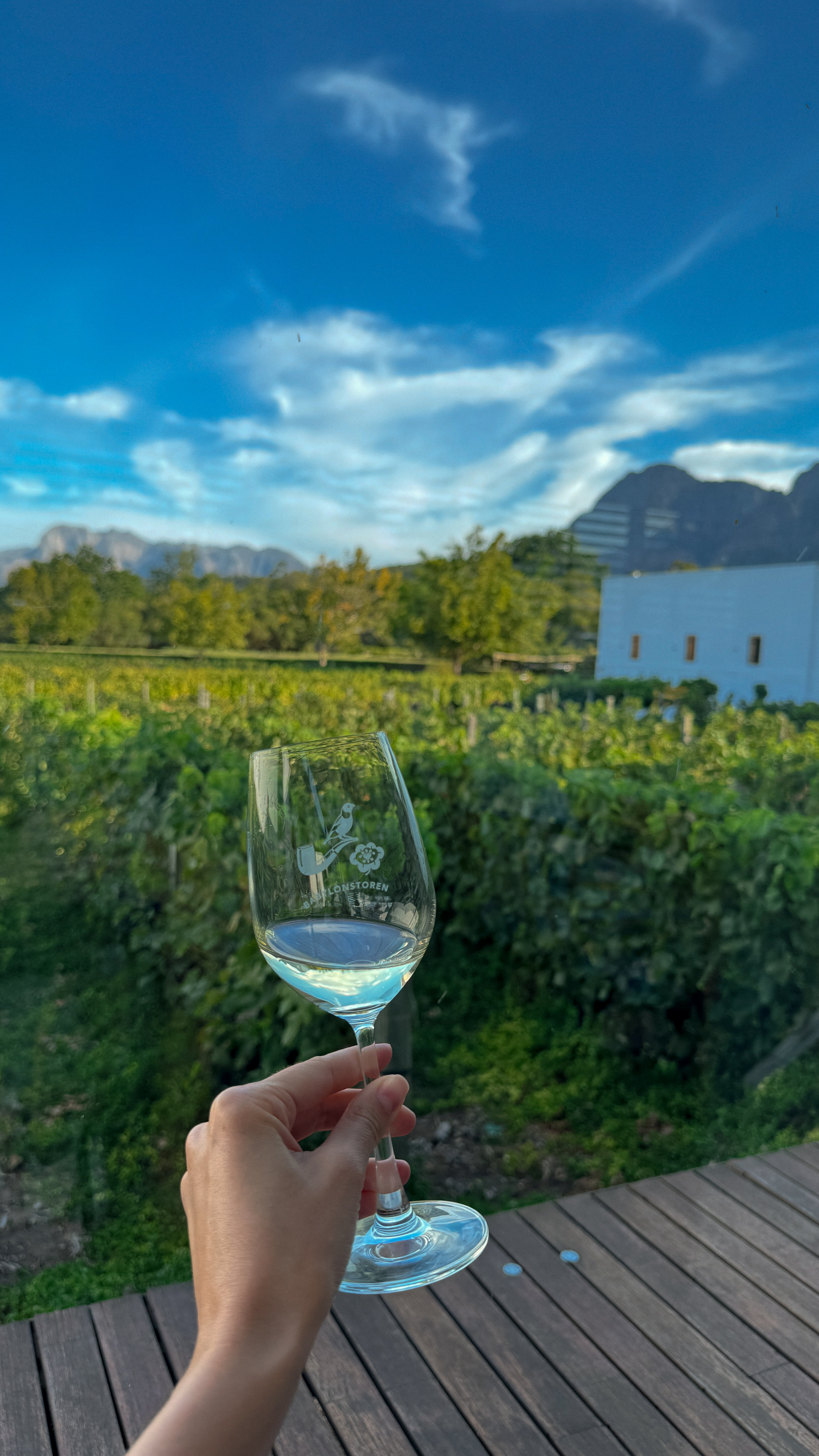 Между двумя океанами: большое путешествие по Юар (28/49)