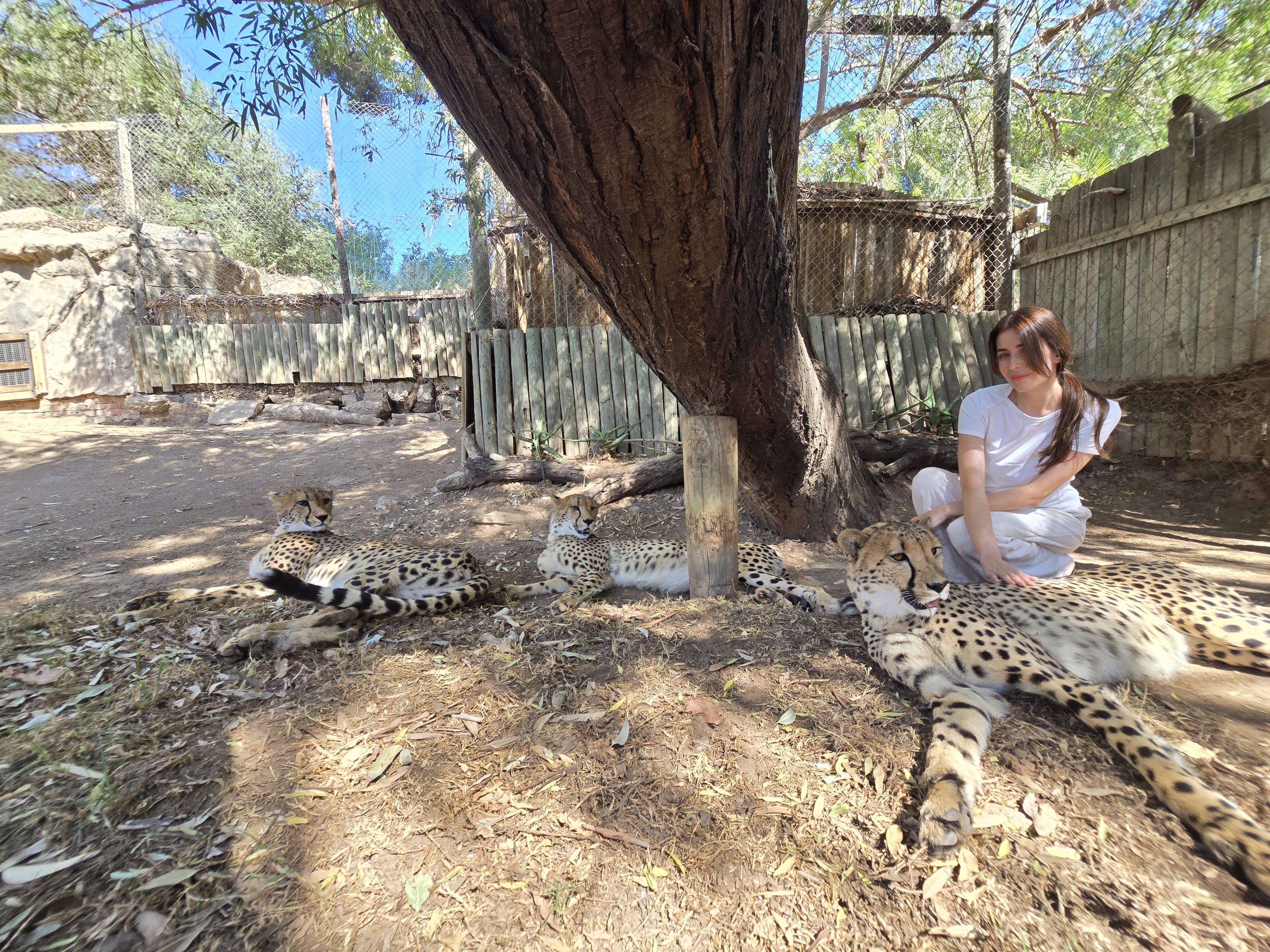 Между двумя океанами: большое путешествие по Юар (15/49)