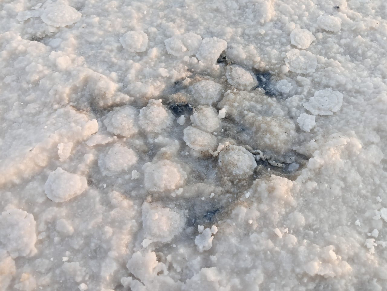 К соляным озерам Волжской степи (12/15)