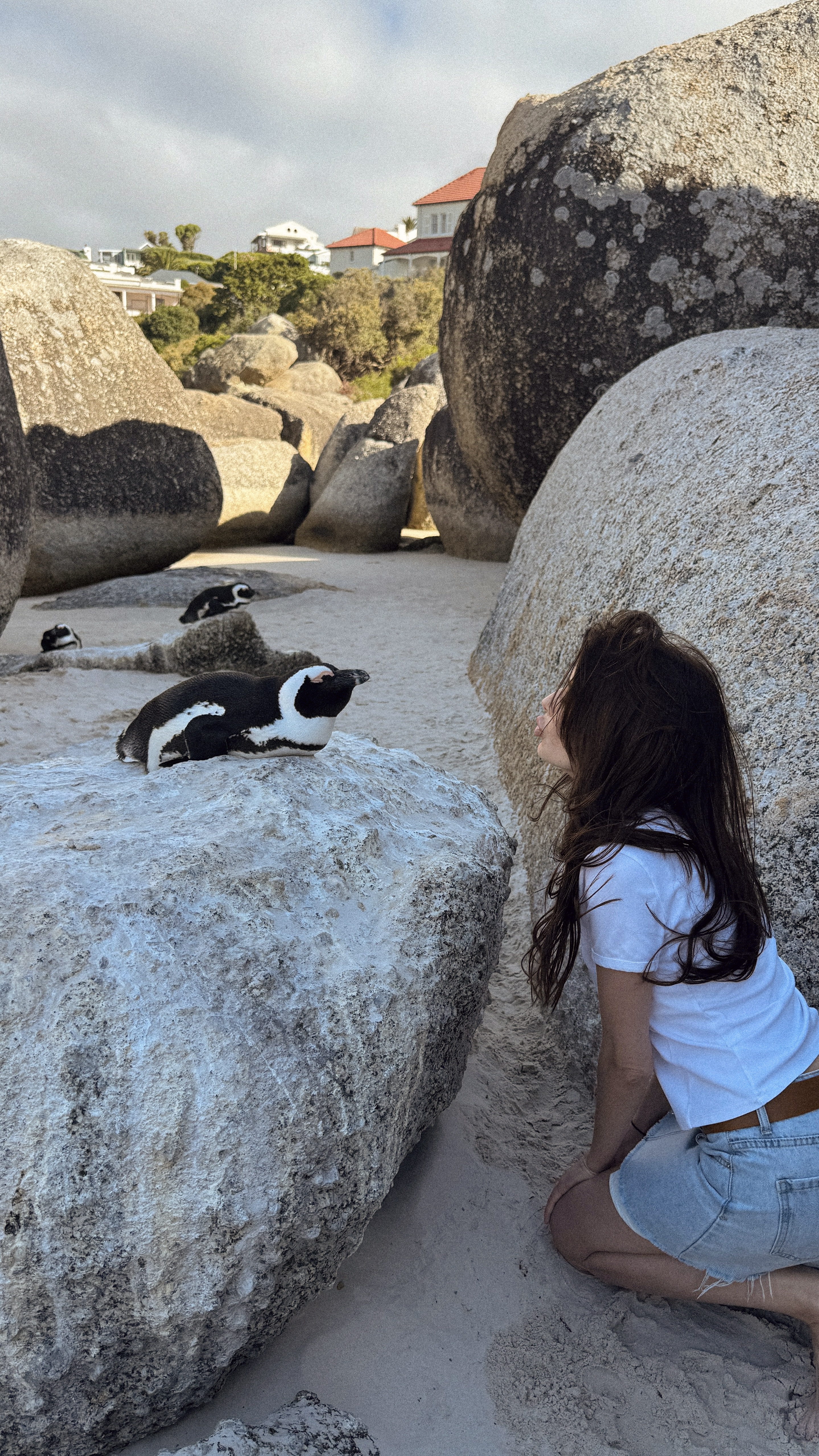 Между двумя океанами: большое путешествие по Юар (22/49)