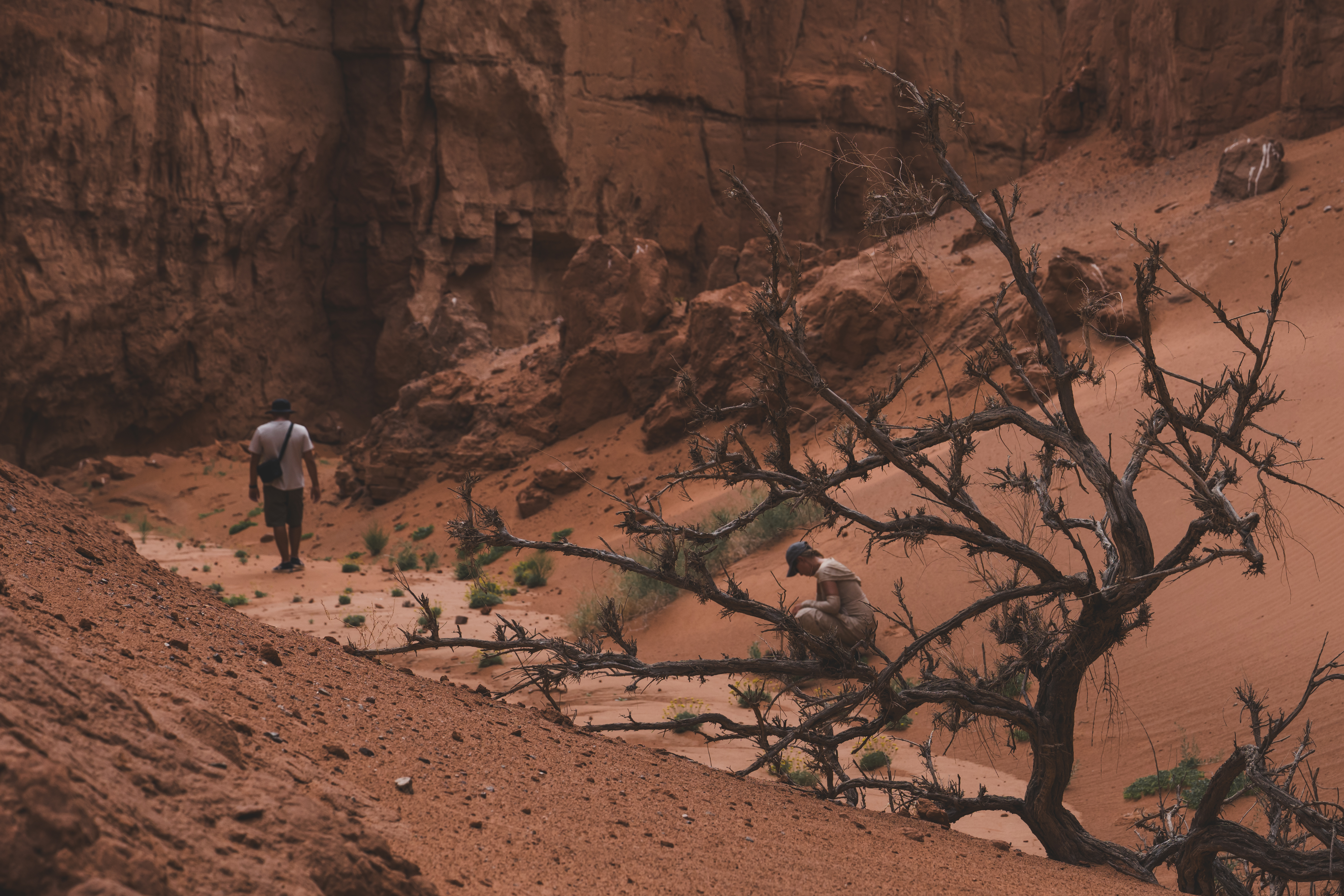 Современные кочевники - Большое путешествие в Гоби (48/64)