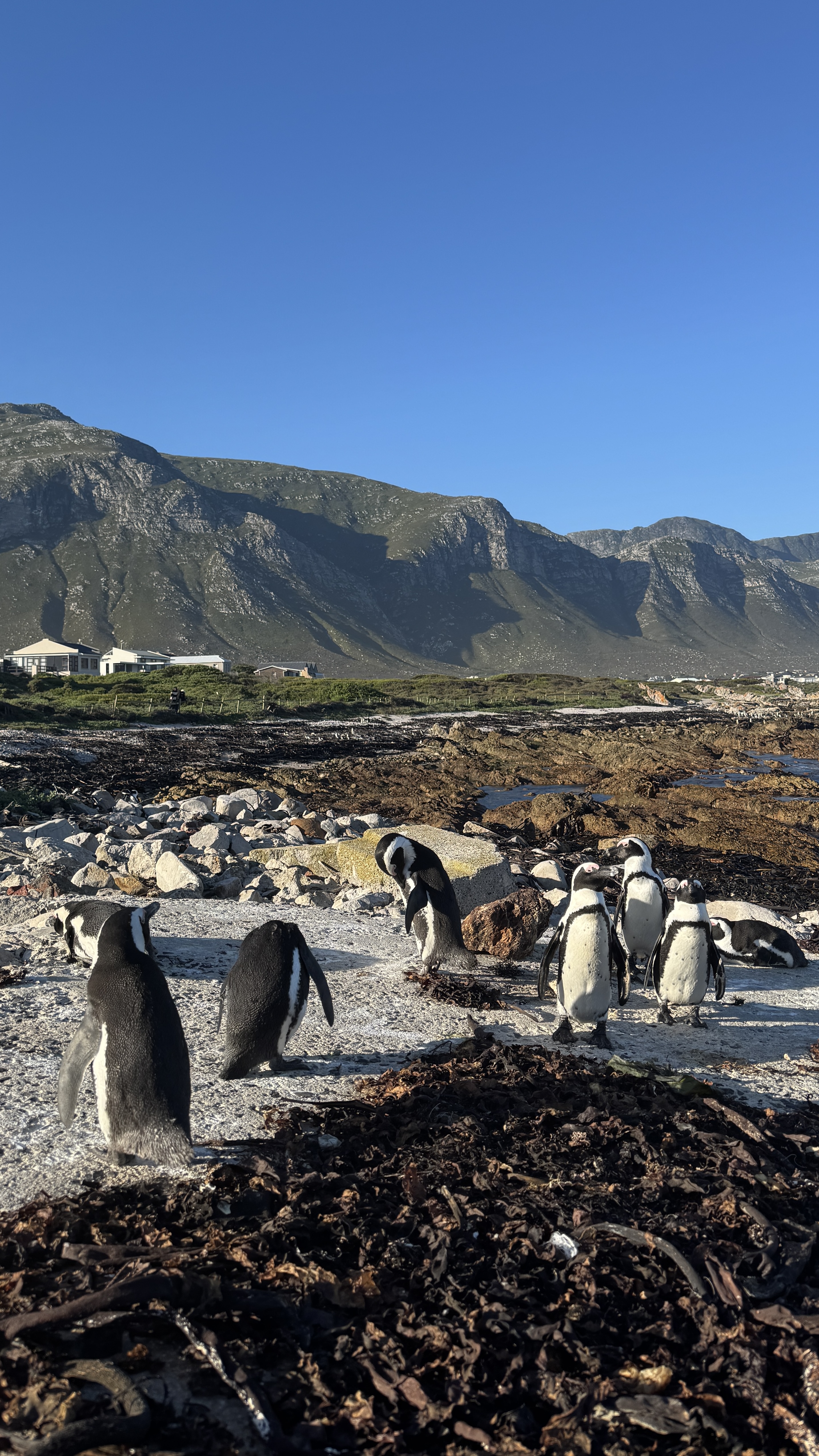 Между двумя океанами: большое путешествие по Юар (43/49)