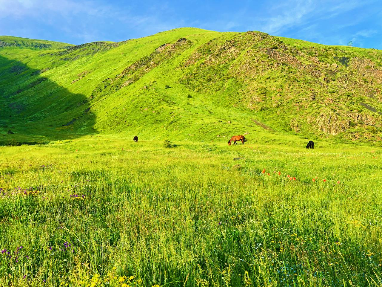 Медленное счастье у озера Цудур