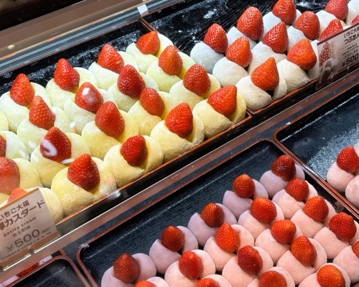 Охота за красными клёнами. Тур в Японию (18/43)