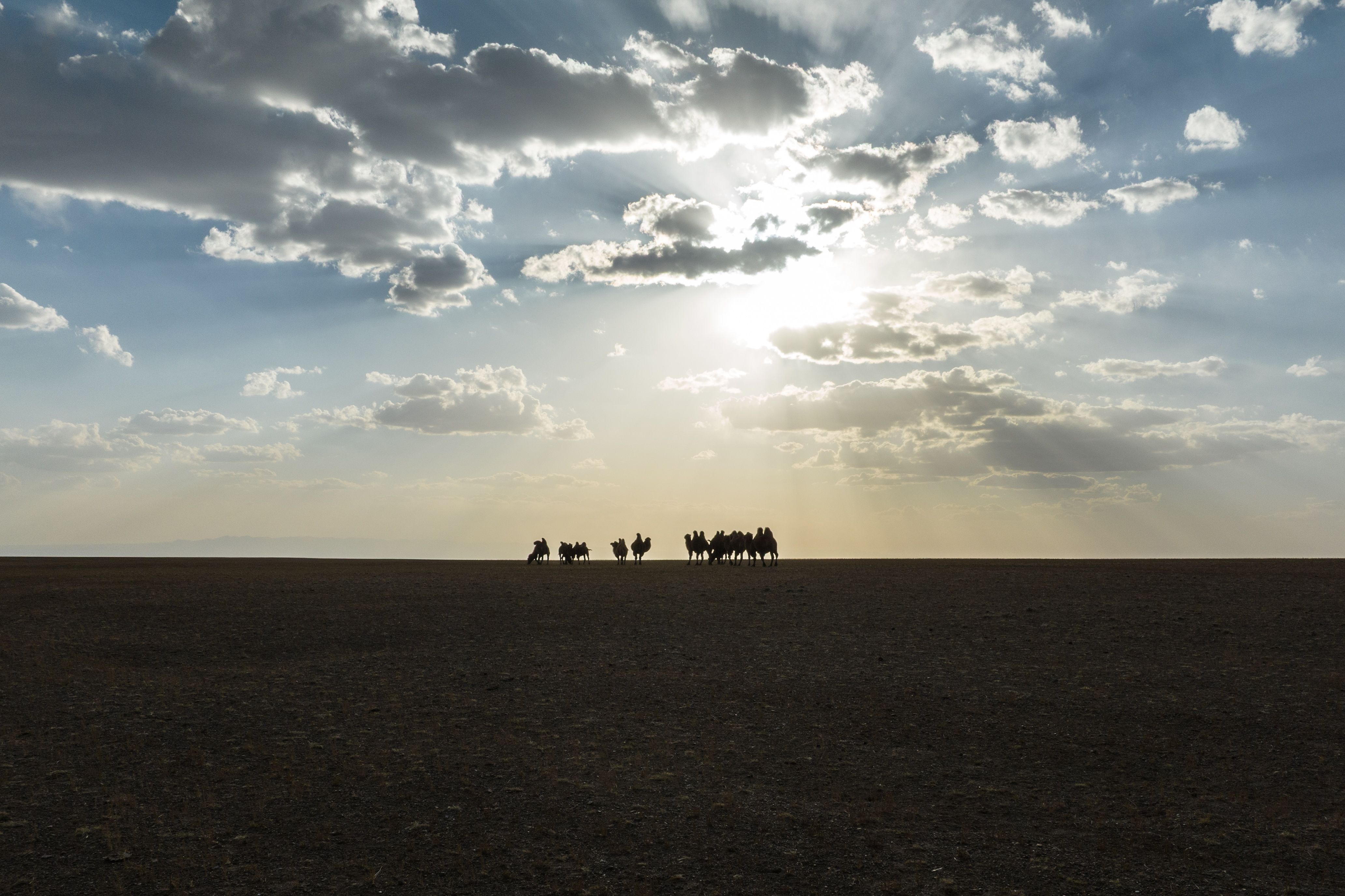 Современные кочевники - Большое путешествие в Гоби (59/64)