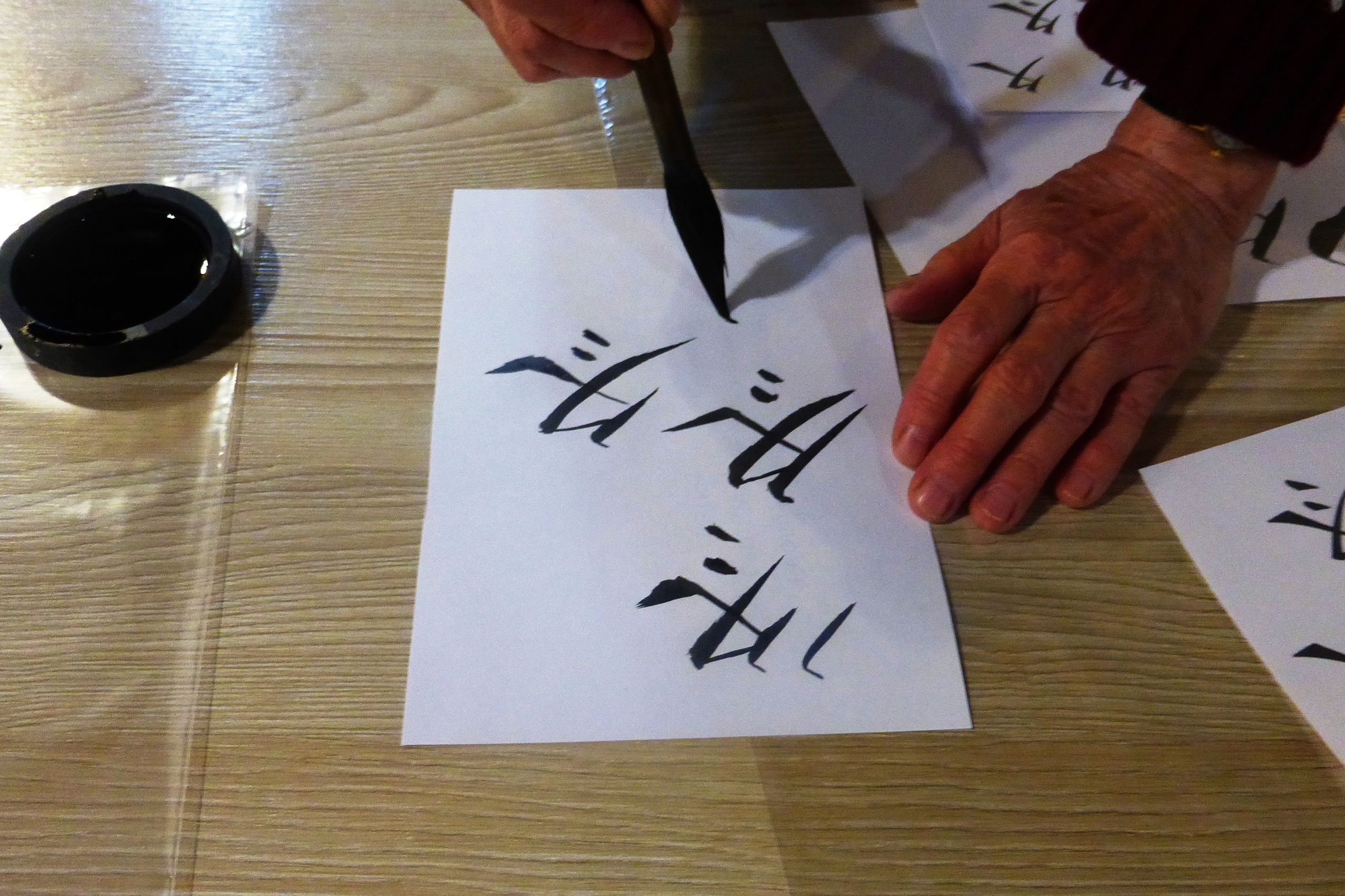 Японская весна в Петербурге (8/8)