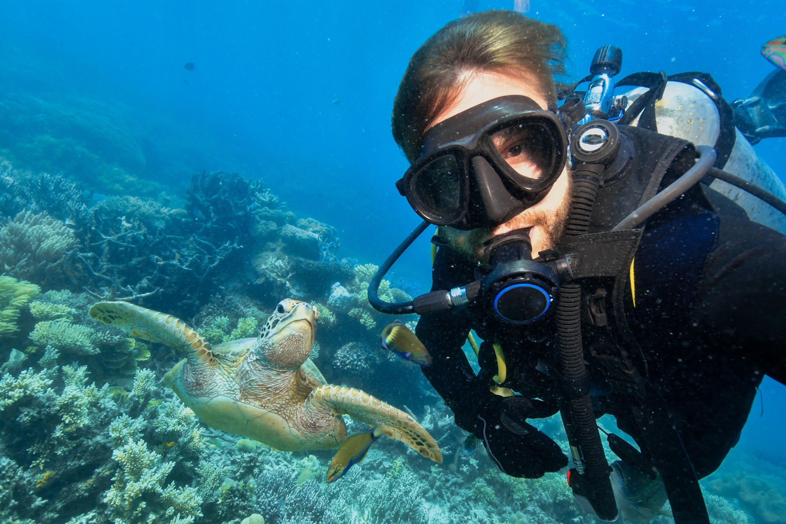 Средиземное море изнутри: дайвинг в Аланье