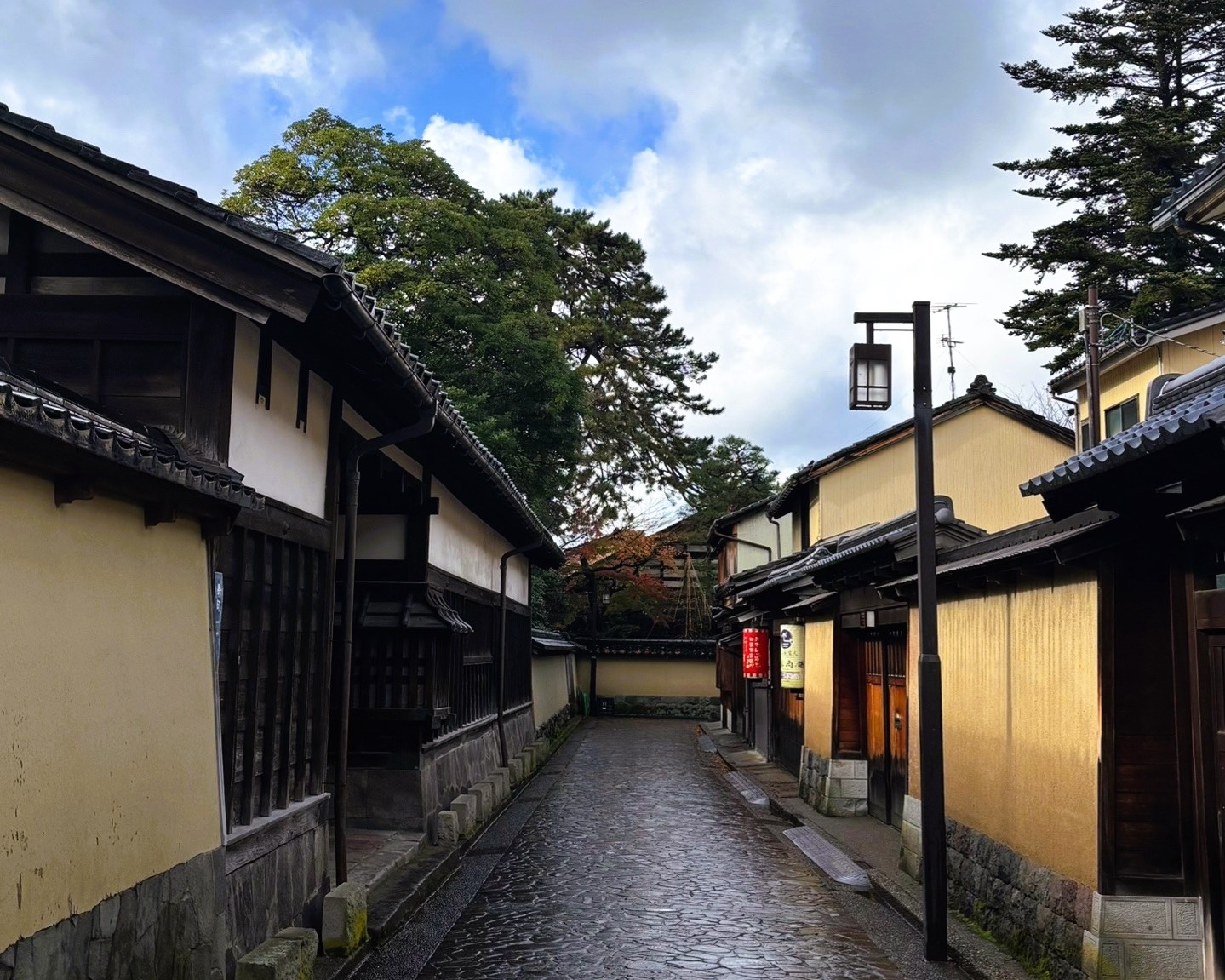 Охота за красными клёнами. Тур в Японию (6/43)