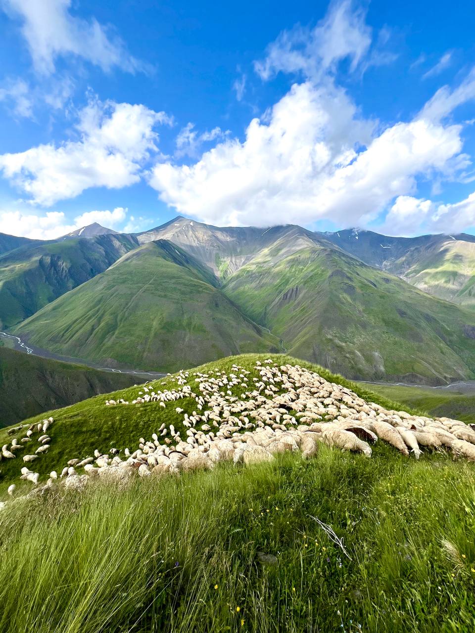 Дикий Юг на седле (9/32)