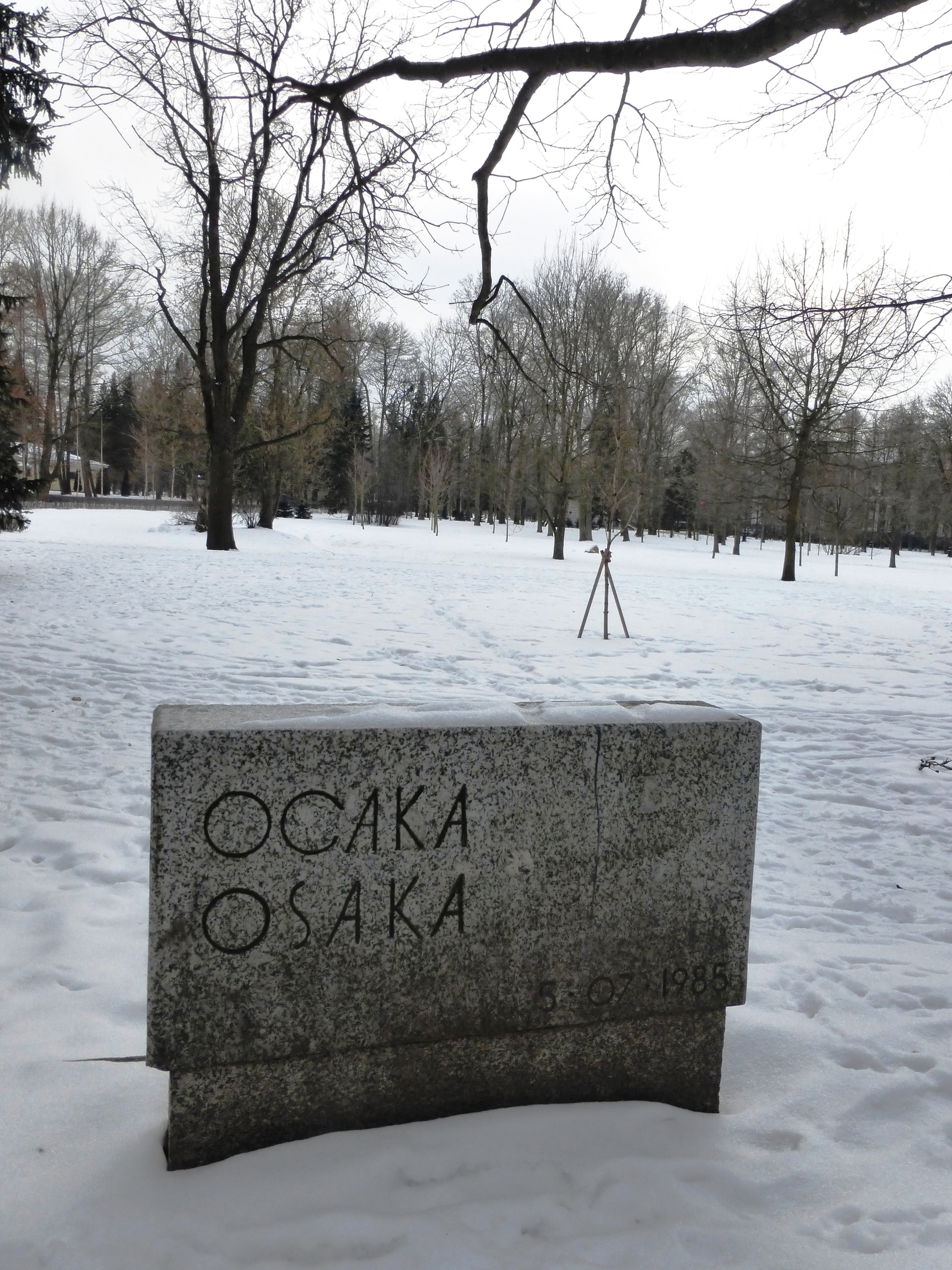 Японская весна в Петербурге (7/8)