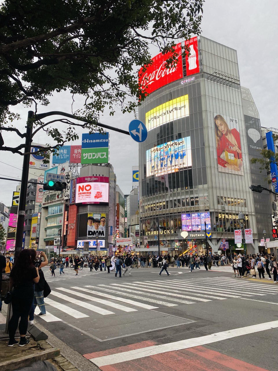 Охота за красными клёнами. Тур в Японию (16/43)