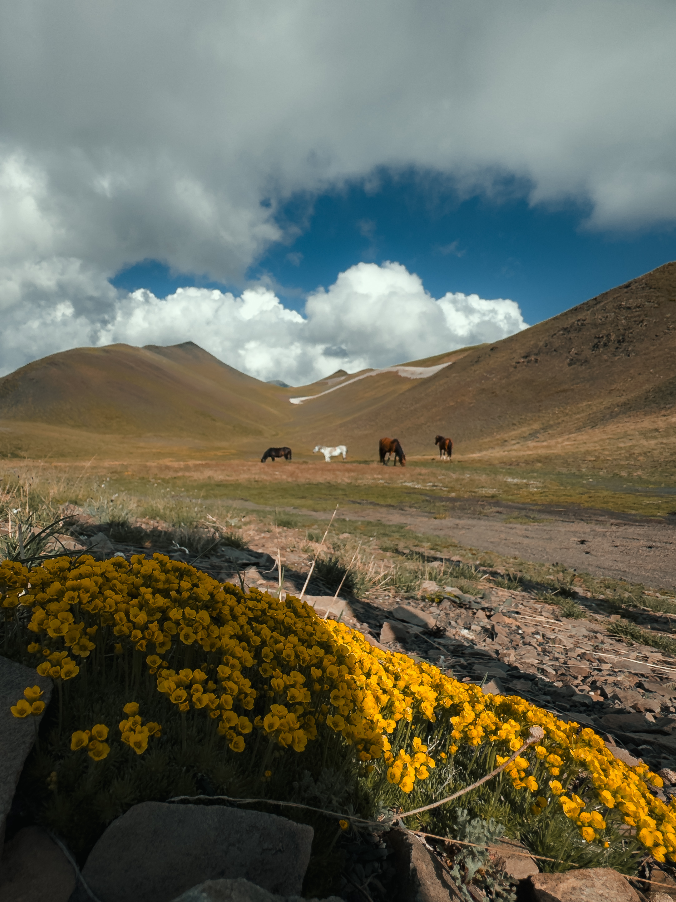 Радиальный поход на плато Хет-Турук, высота 2850м