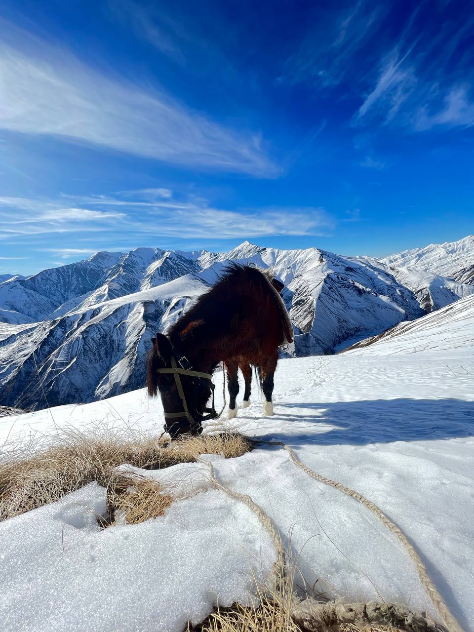 Медленное счастье у озера Цудур