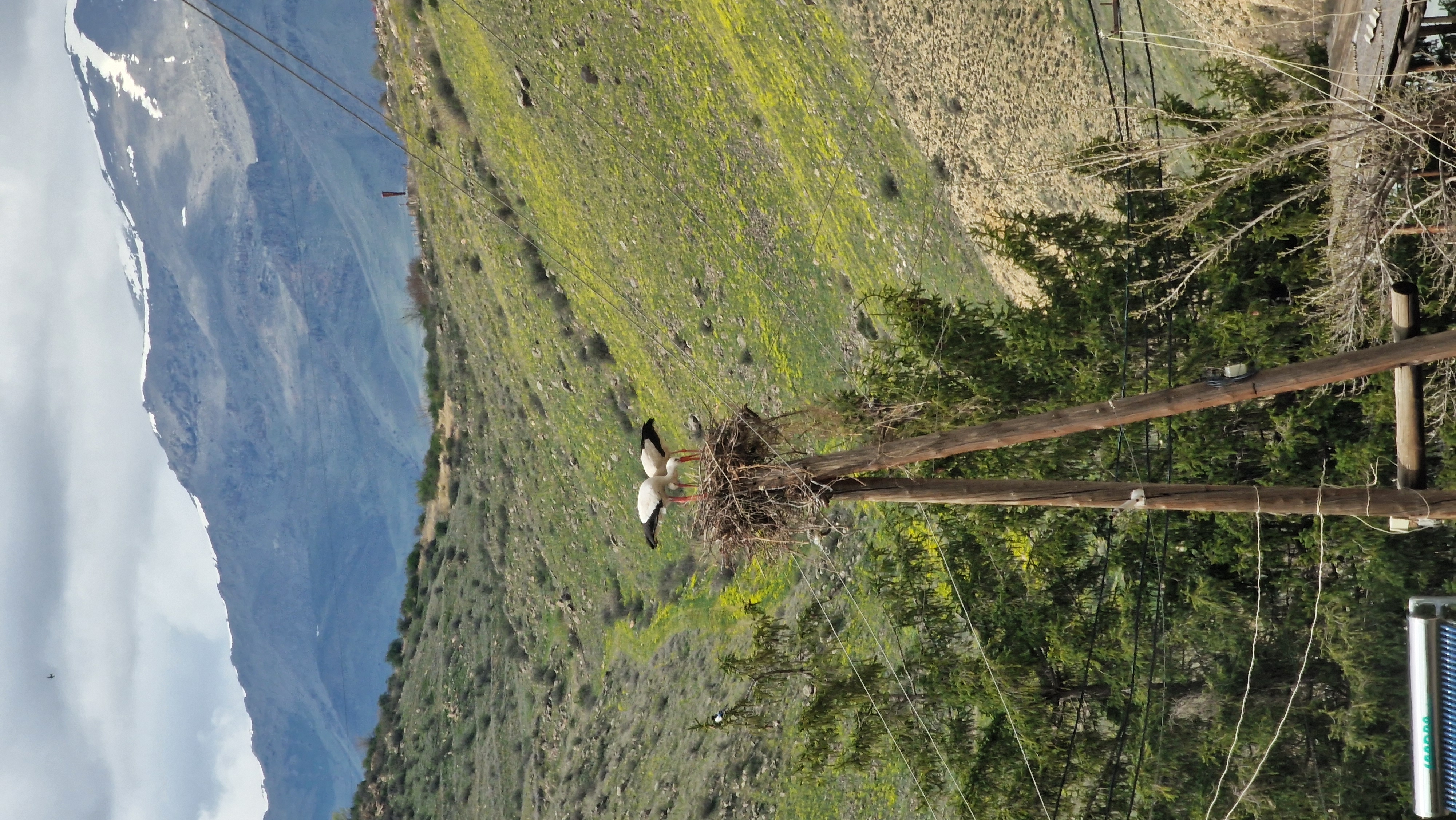 Премиум-тур в Армению (21/31)