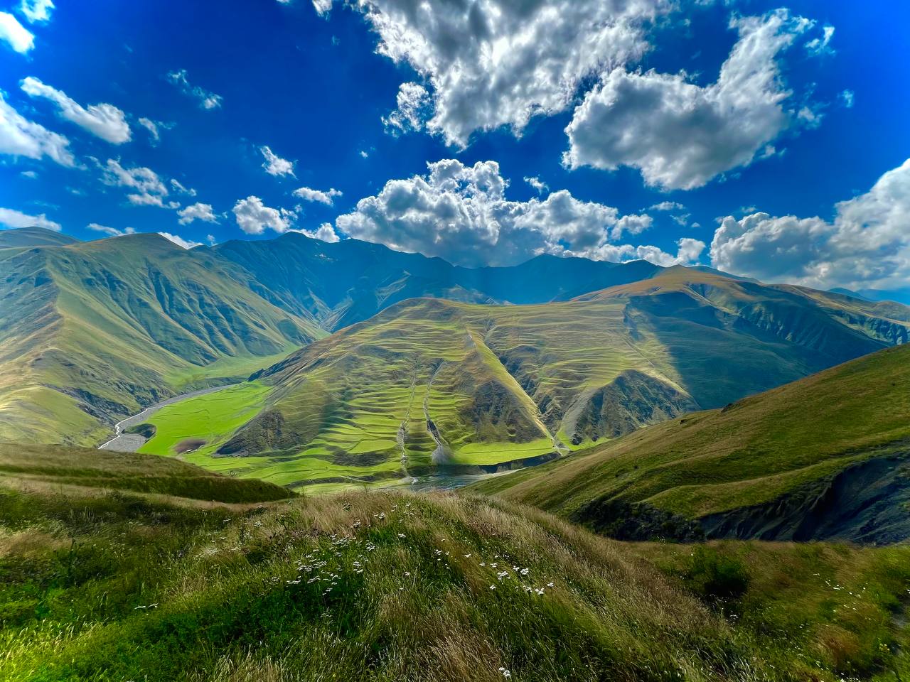 Дикий Юг на седле (5/32)