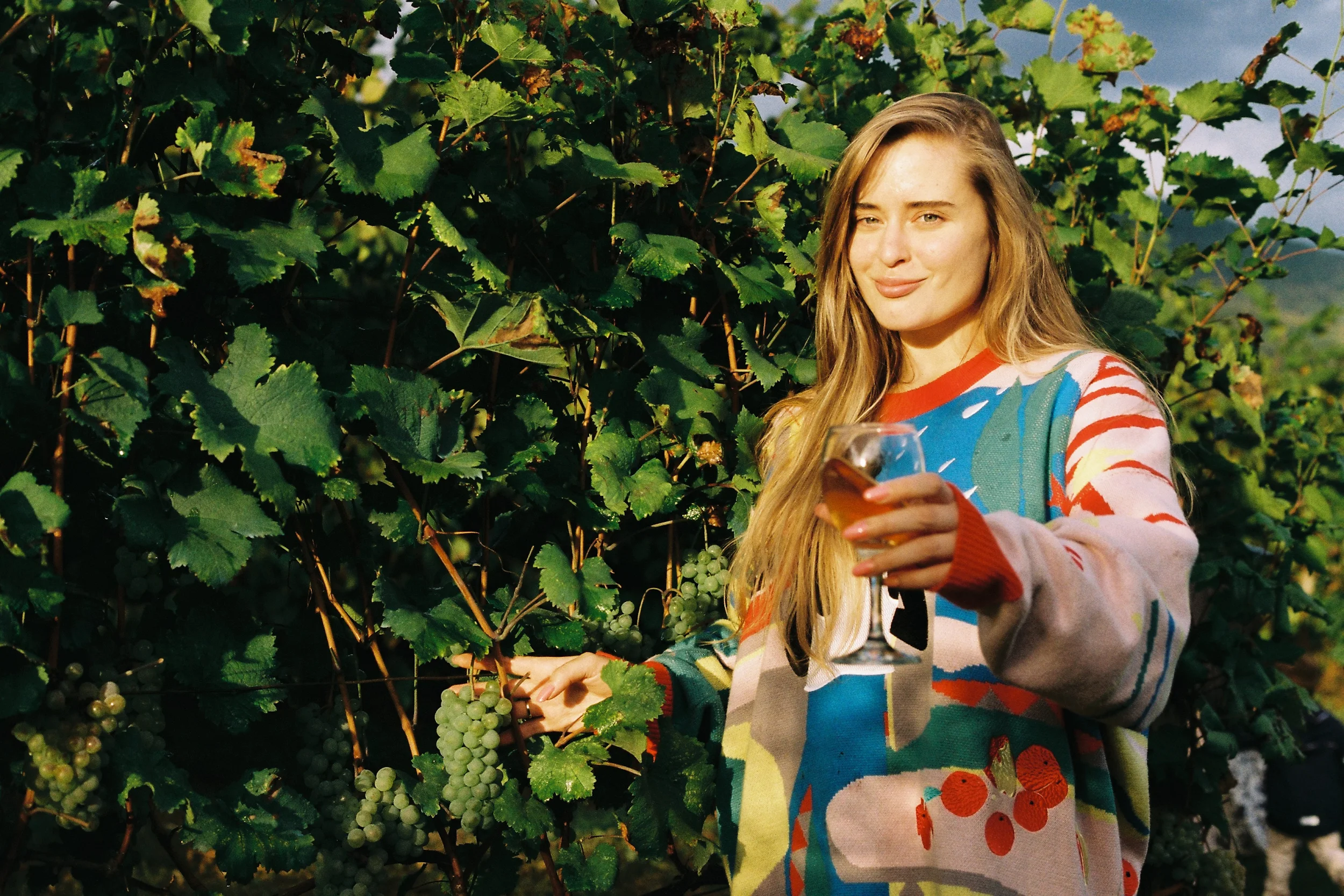 Навстречу солнцу Кахетии: Вело-приключение (9/13)