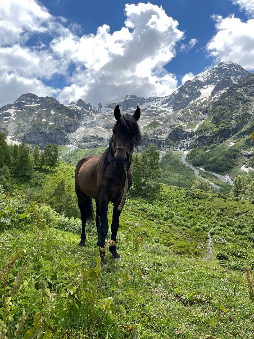 Эндуро кемпы в Архызе: все под ключ (9/22)