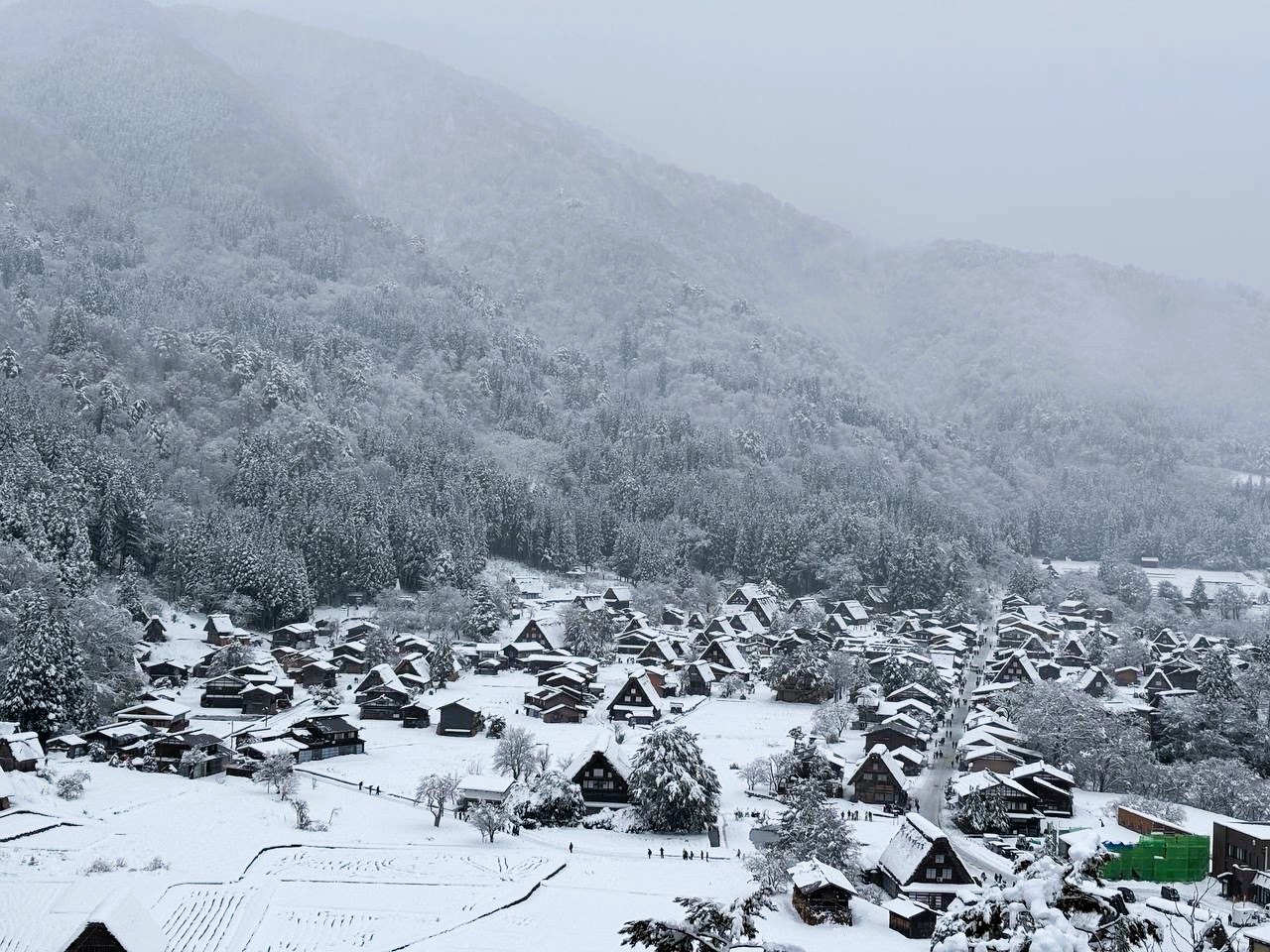 Охота за красными клёнами. Тур в Японию (26/43)