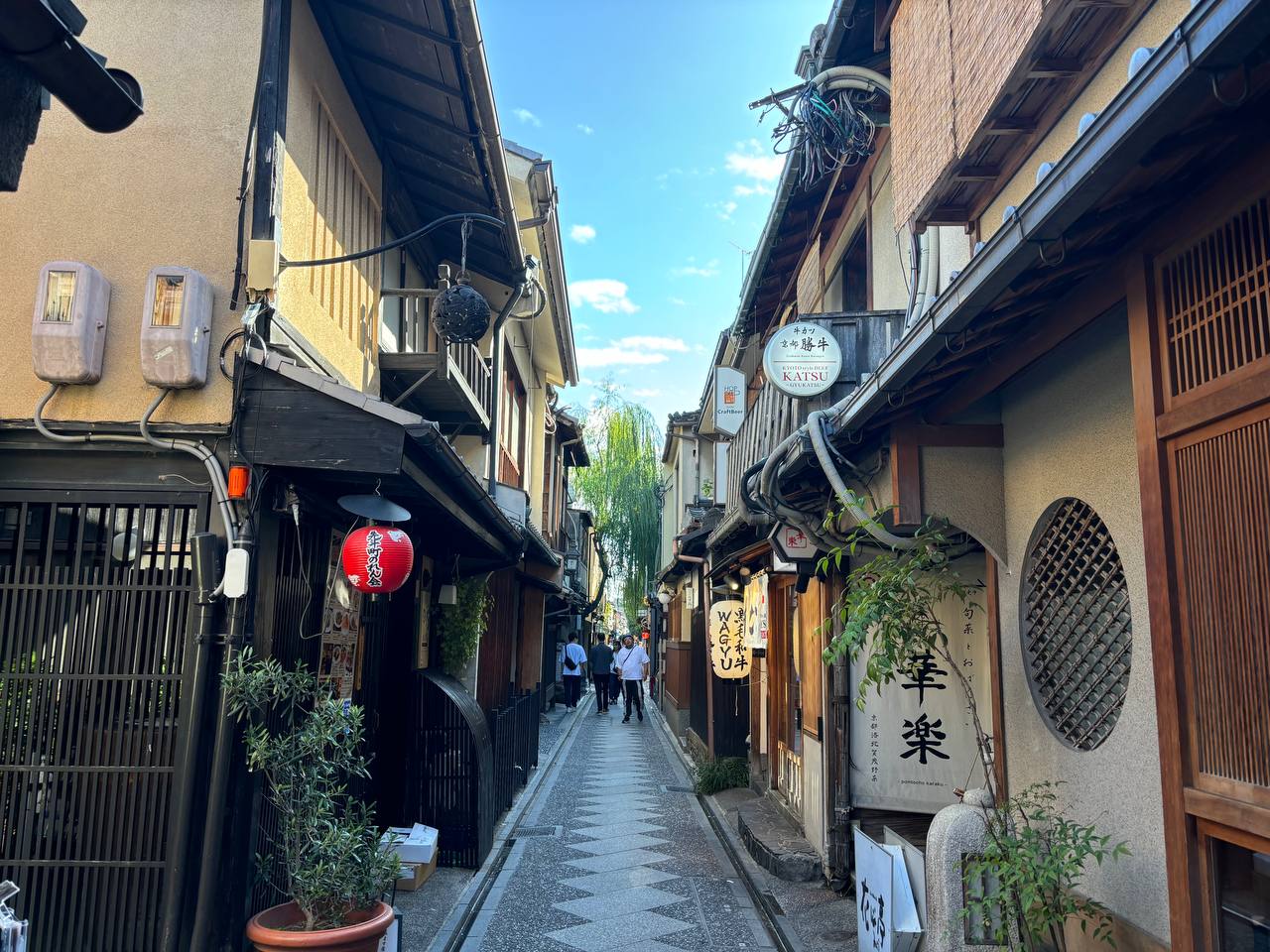 Охота за красными клёнами. Тур в Японию (8/43)