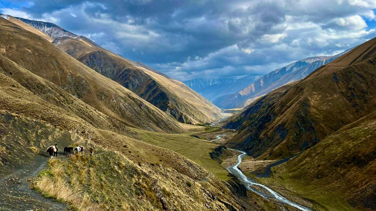 Дикий Юг на седле (11/32)