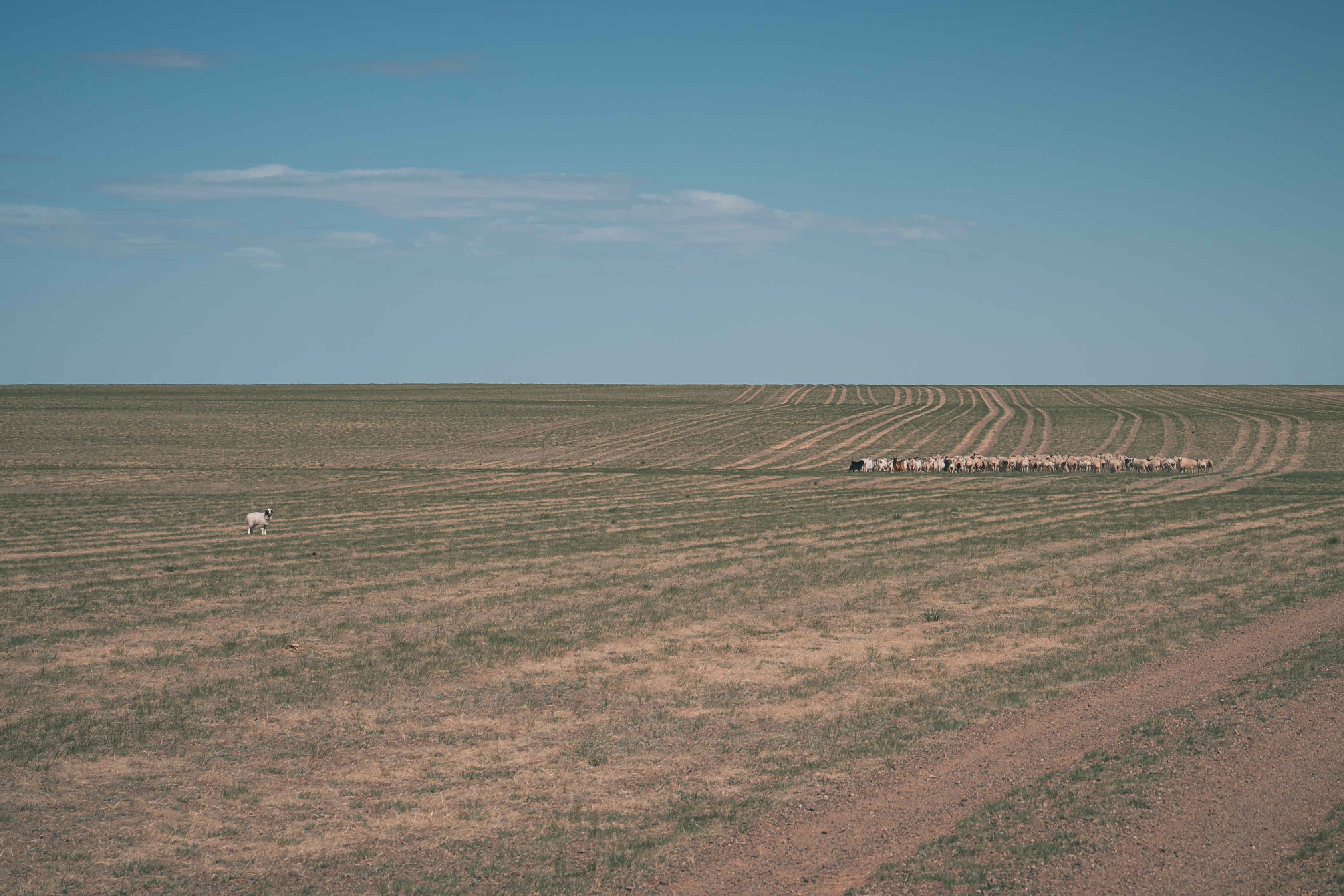 Современные кочевники - Большое путешествие в Гоби (43/64)