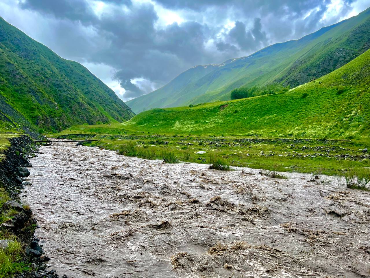 Дикий Юг на седле (12/32)